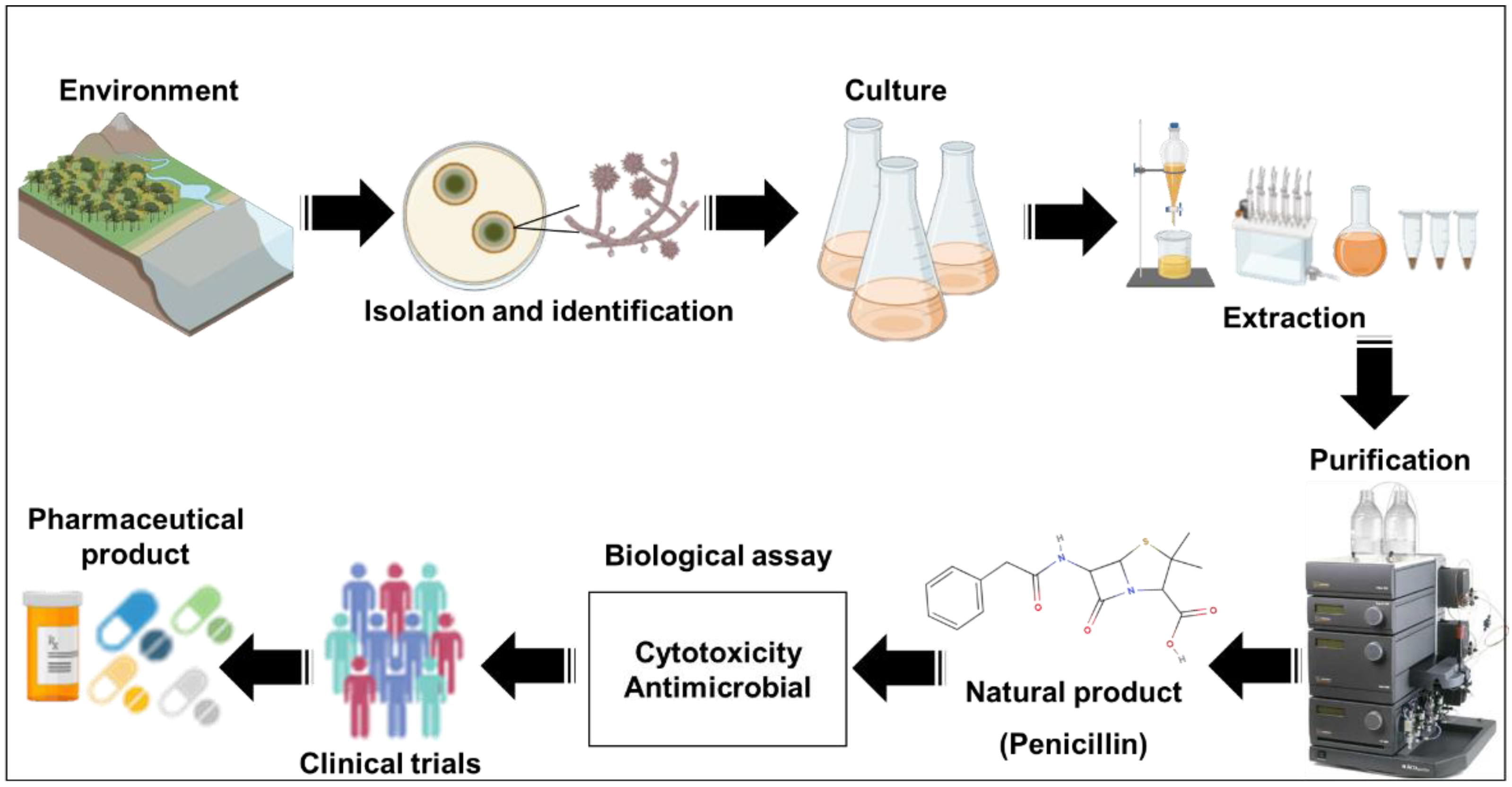 Antibiotics 11 01604 g002