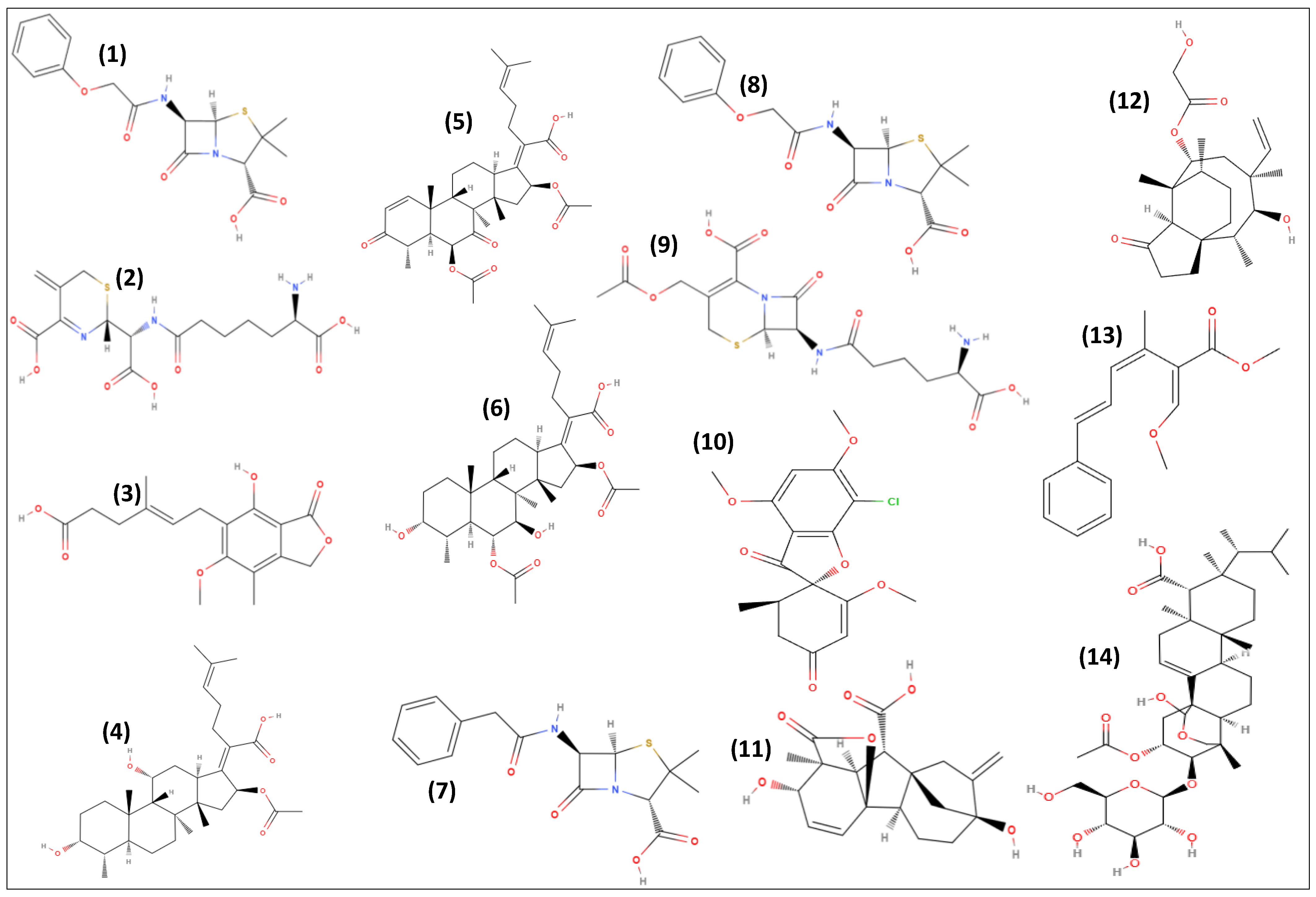 Antibiotics 11 01604 g004