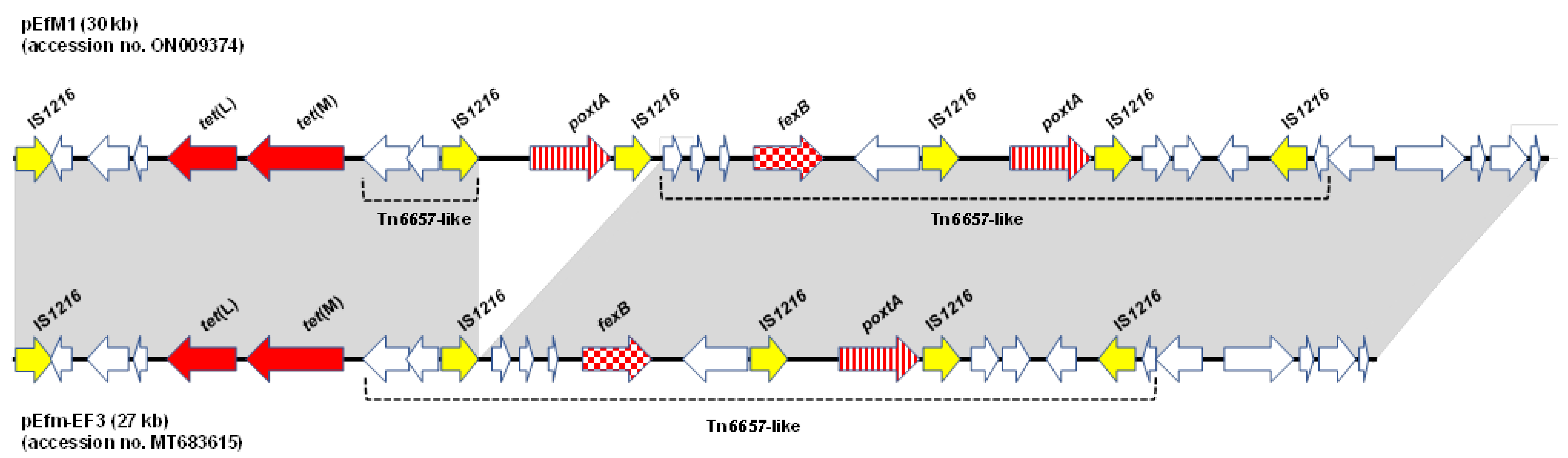 Antibiotics 11 01618 g001