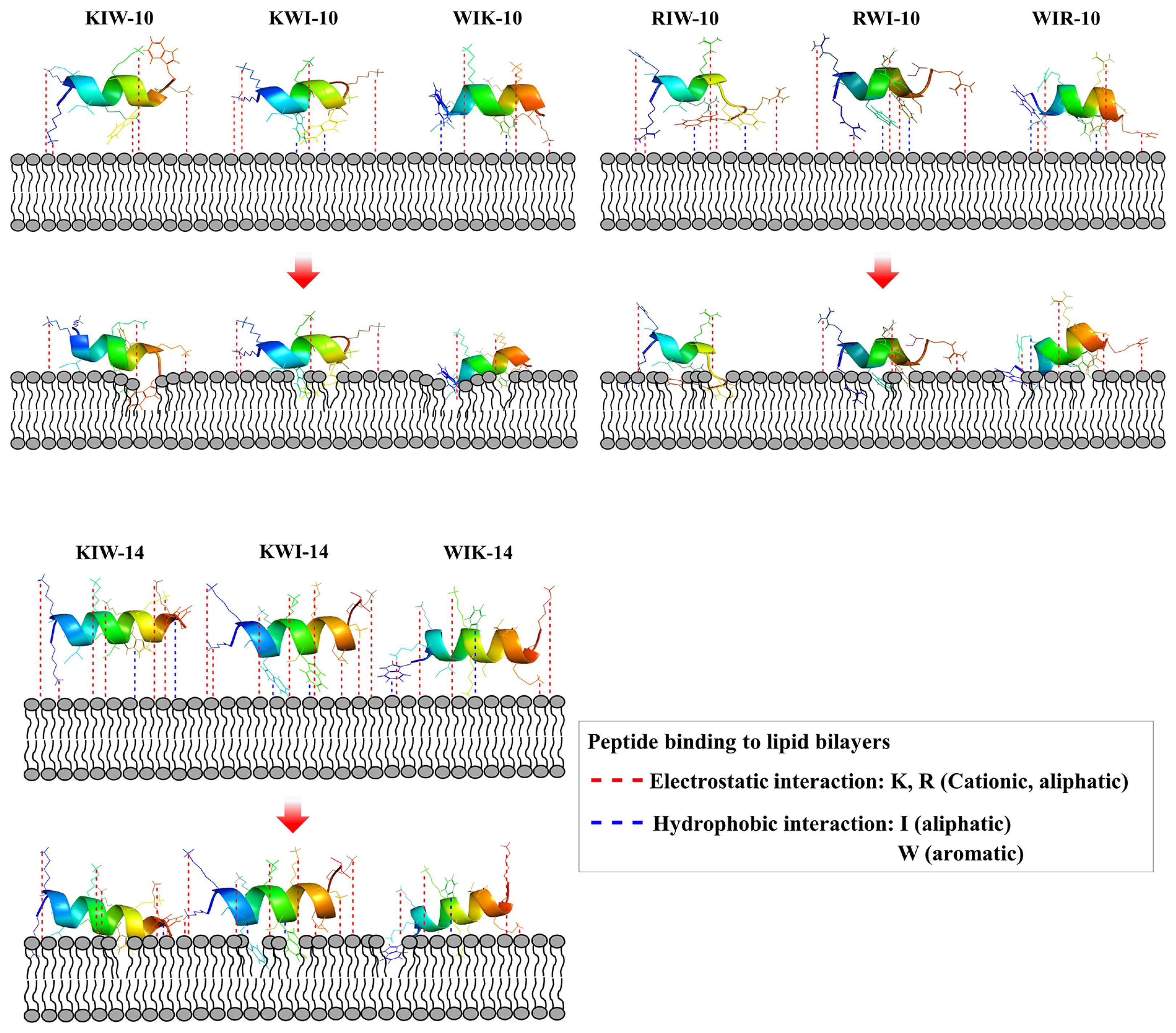 Antibiotics 11 01619 g009 Antibiotics 11 01619 g009