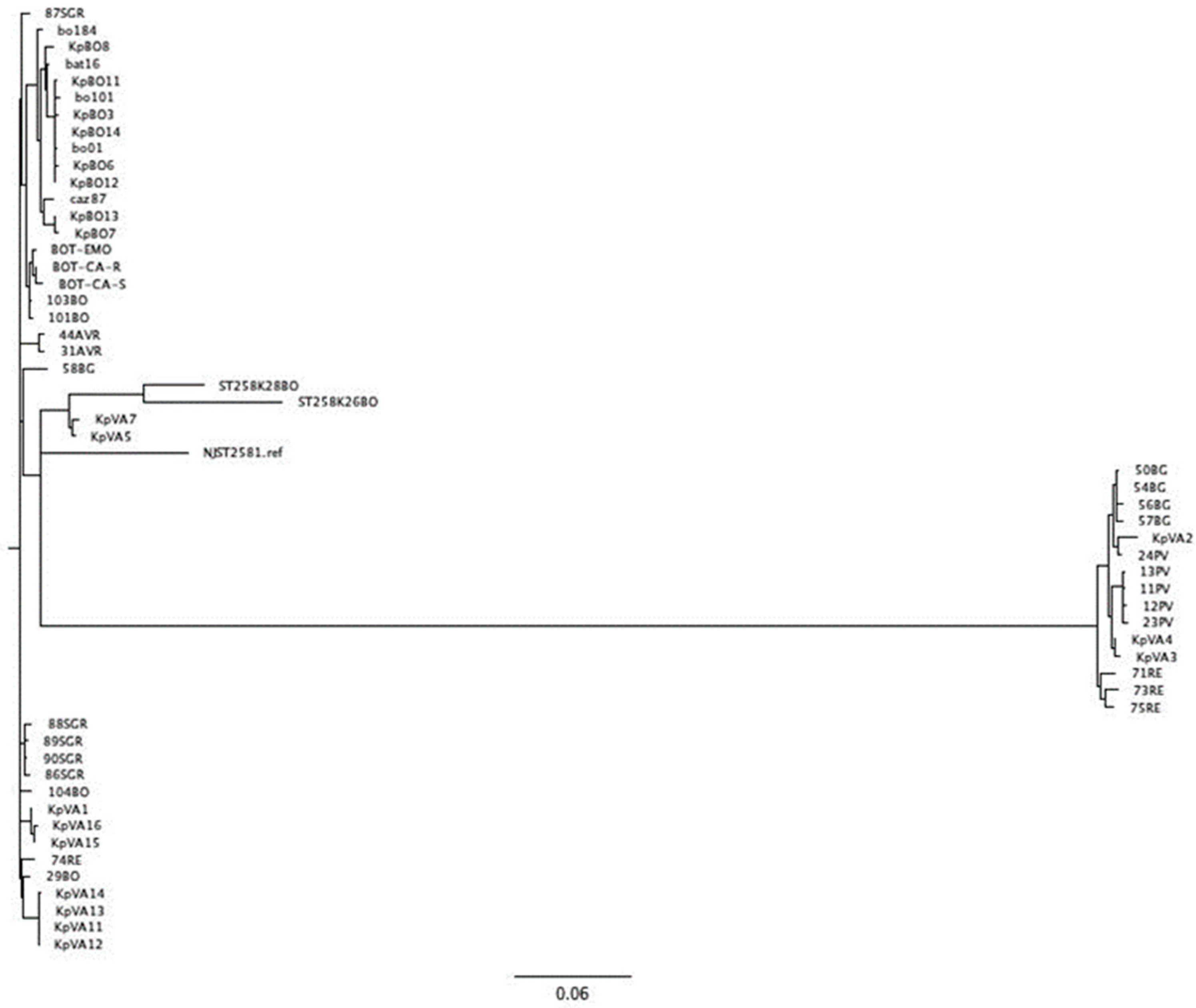 Antibiotics 11 01621 g001