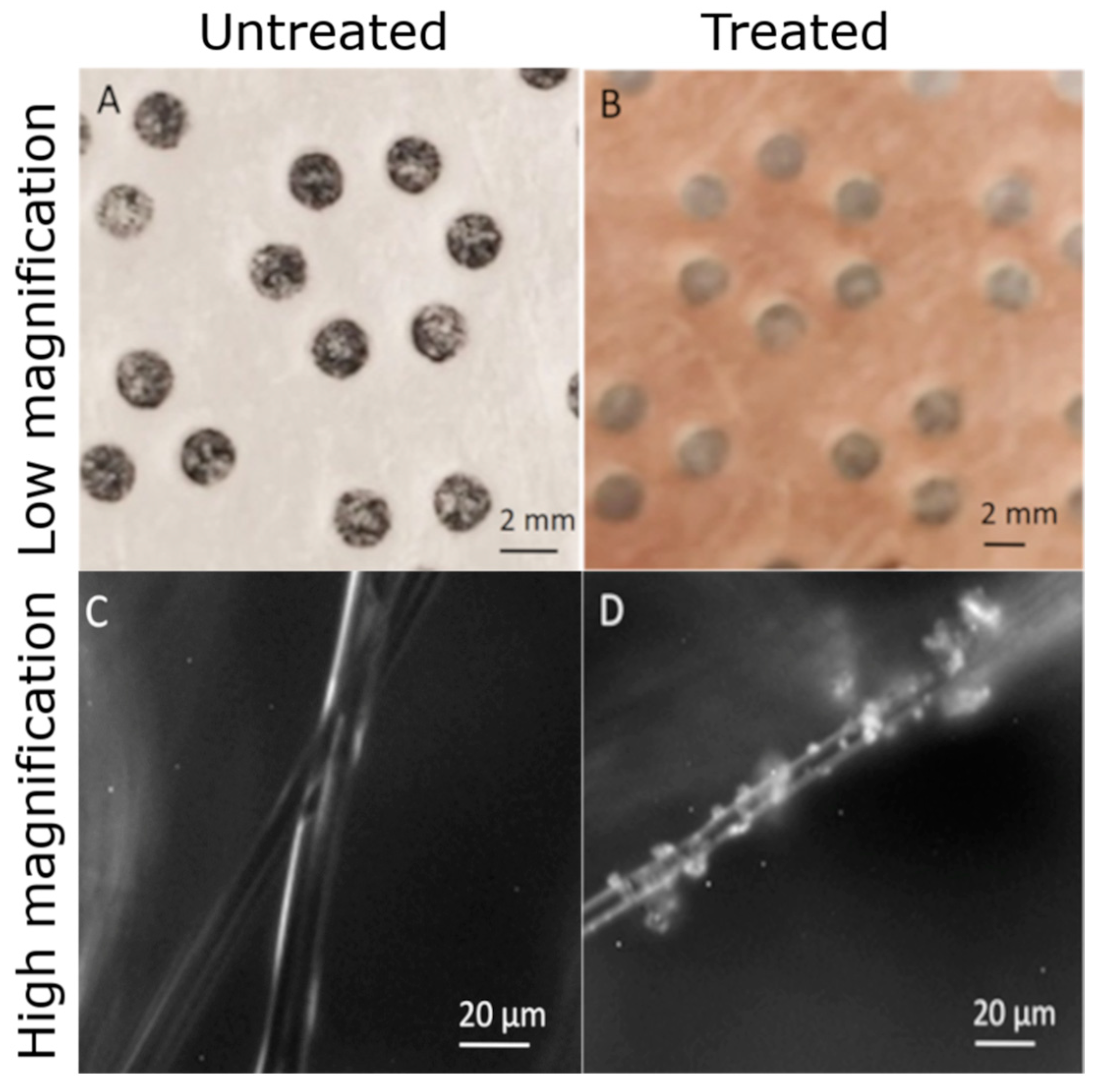 Antibiotics 11 01633 g001 Antibiotics 11 01633 g001