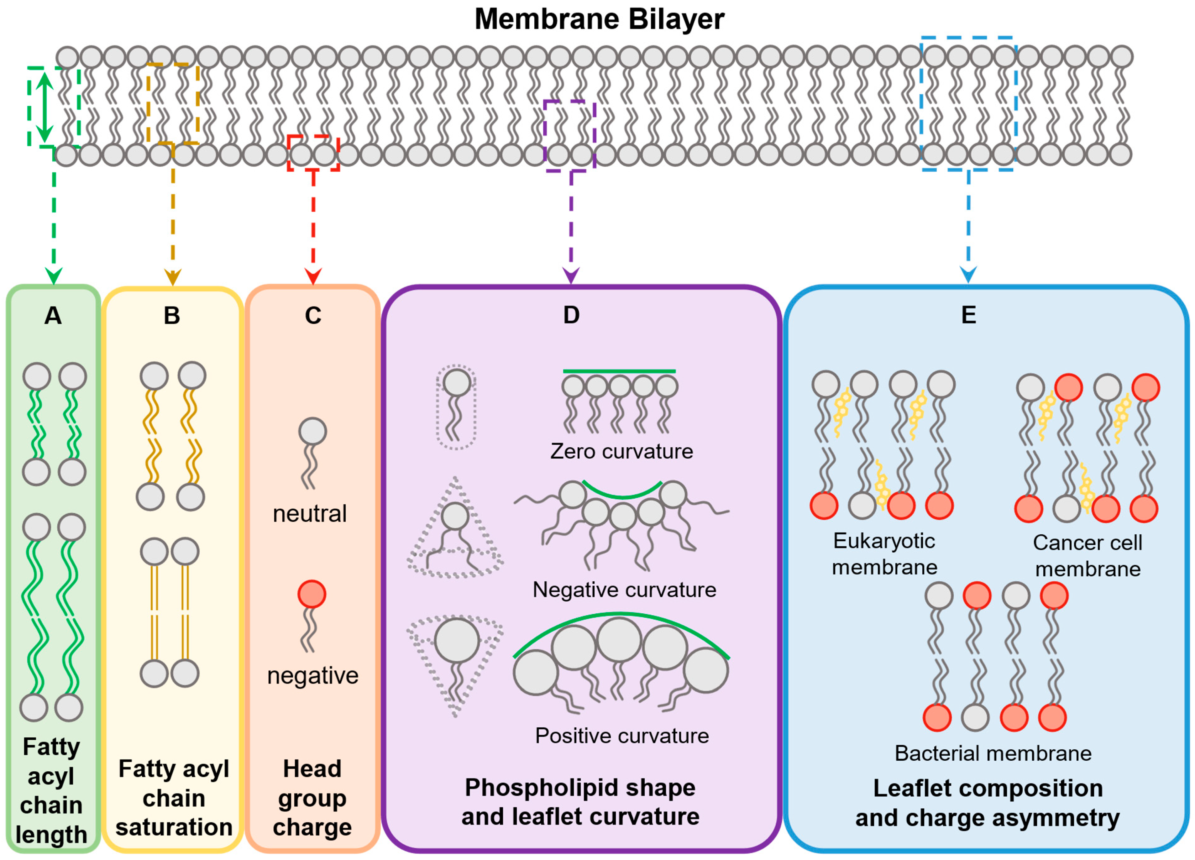 Antibiotics 11 01636 g002 Antibiotics 11 01636 g002