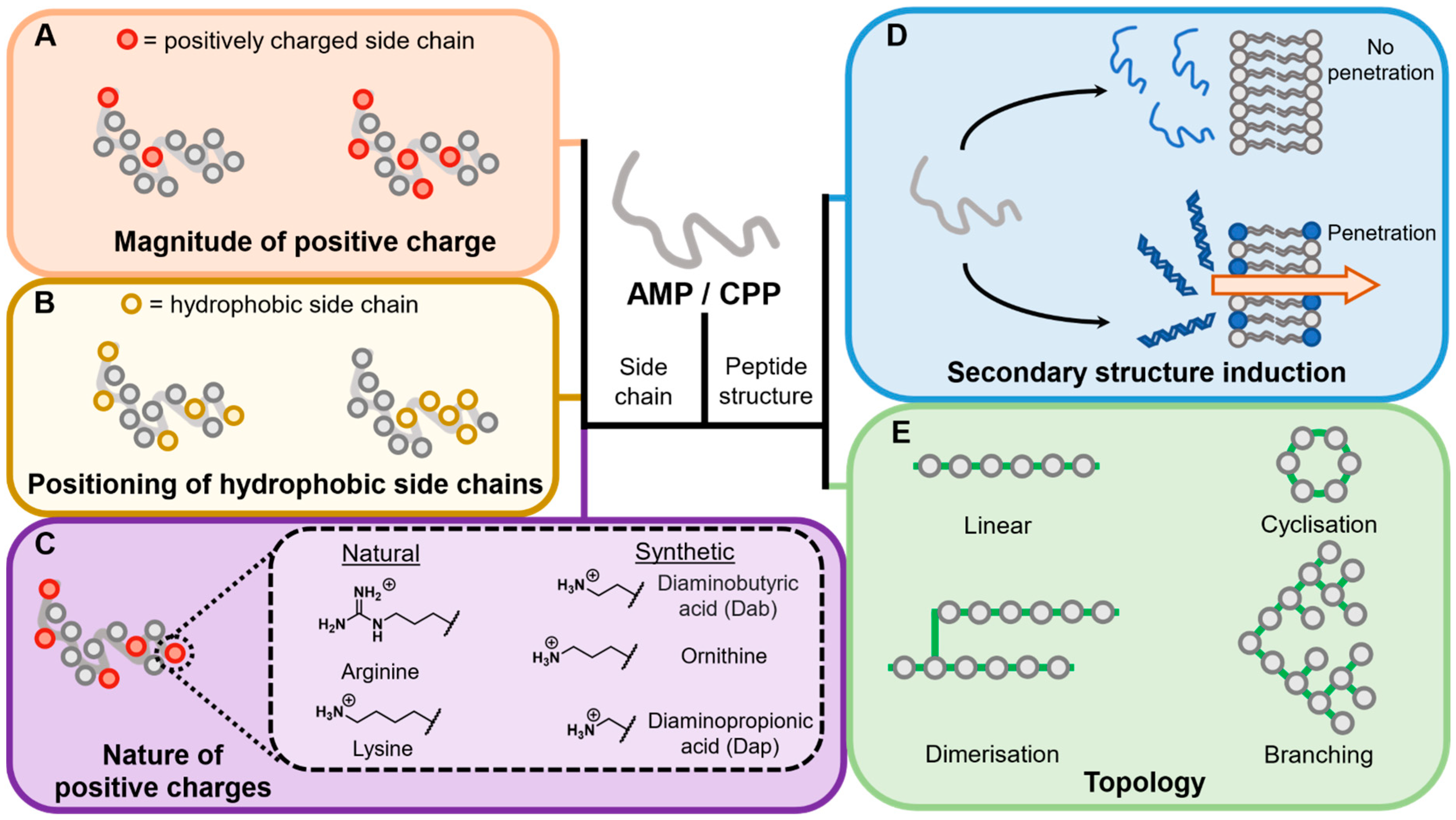 Antibiotics 11 01636 g003 Antibiotics 11 01636 g003