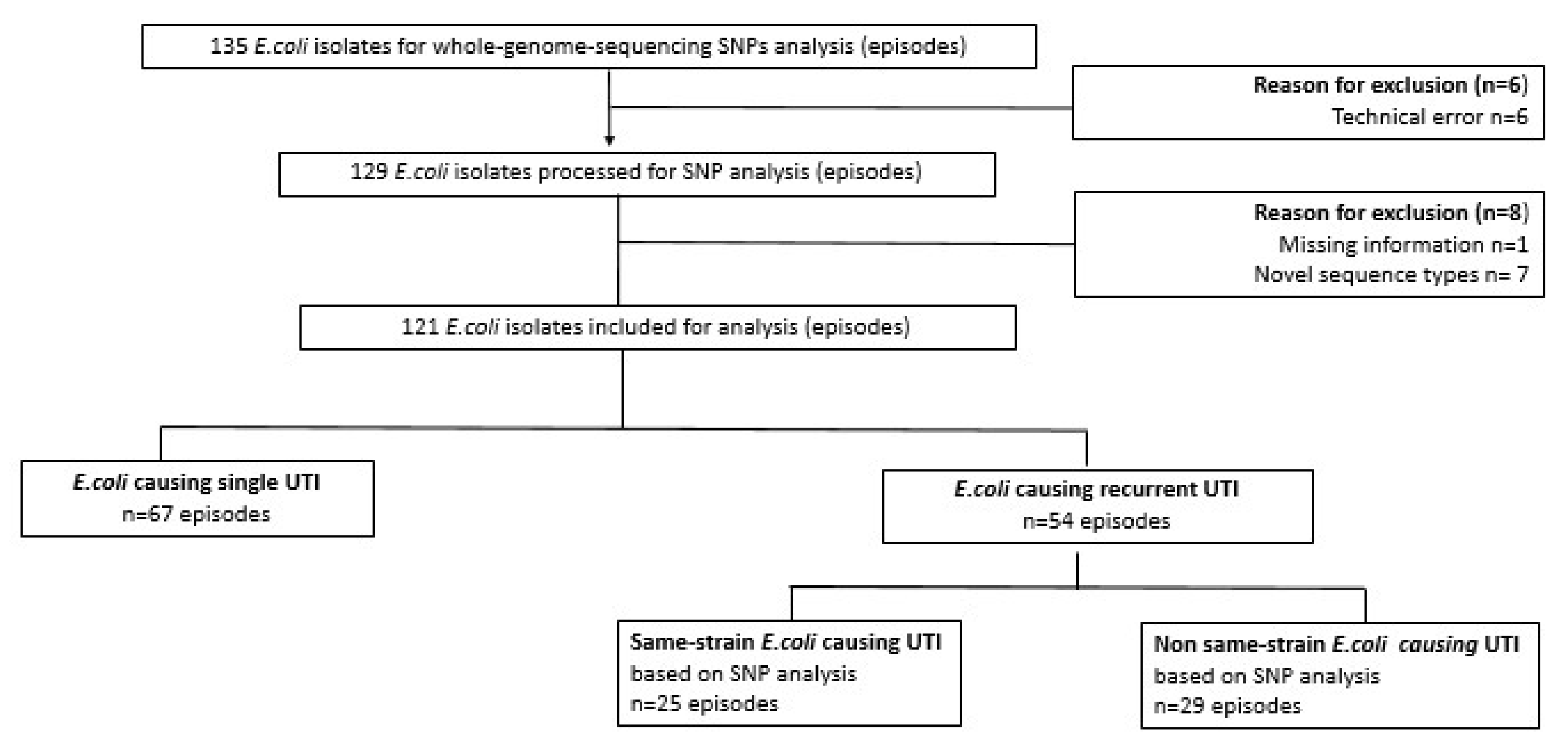 Antibiotics Free FullText Recurrent E. coli Urinary Tract