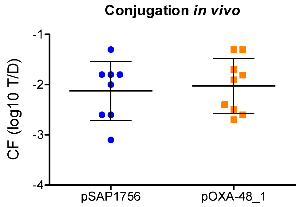 Antibiotics 11 01641 g003 Antibiotics 11 01641 g003