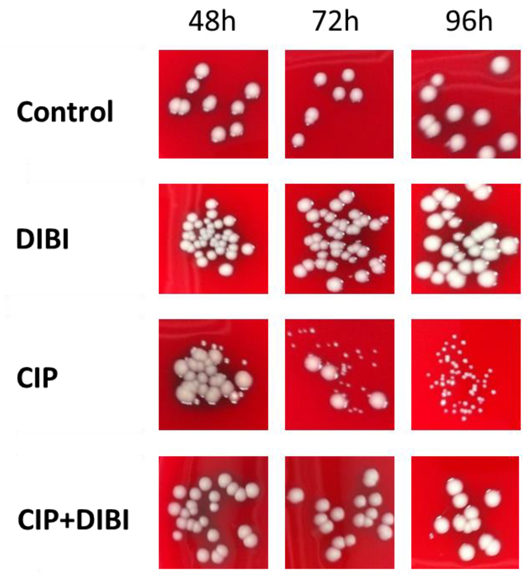 Antibiotics 11 01642 g004
