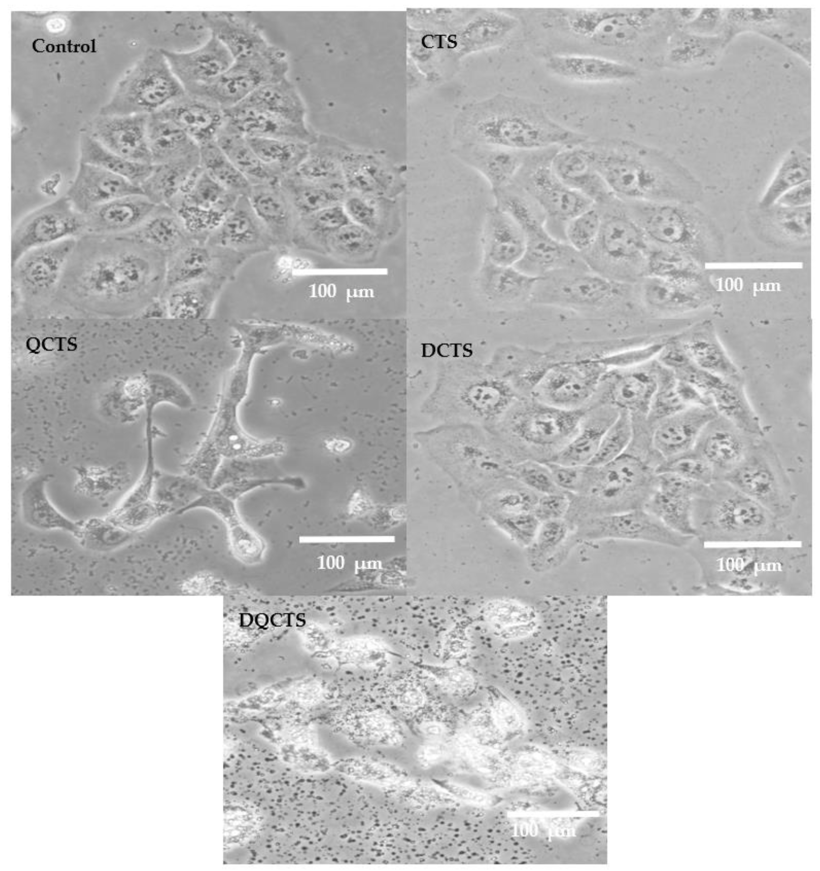 Antibiotics 11 01644 g006