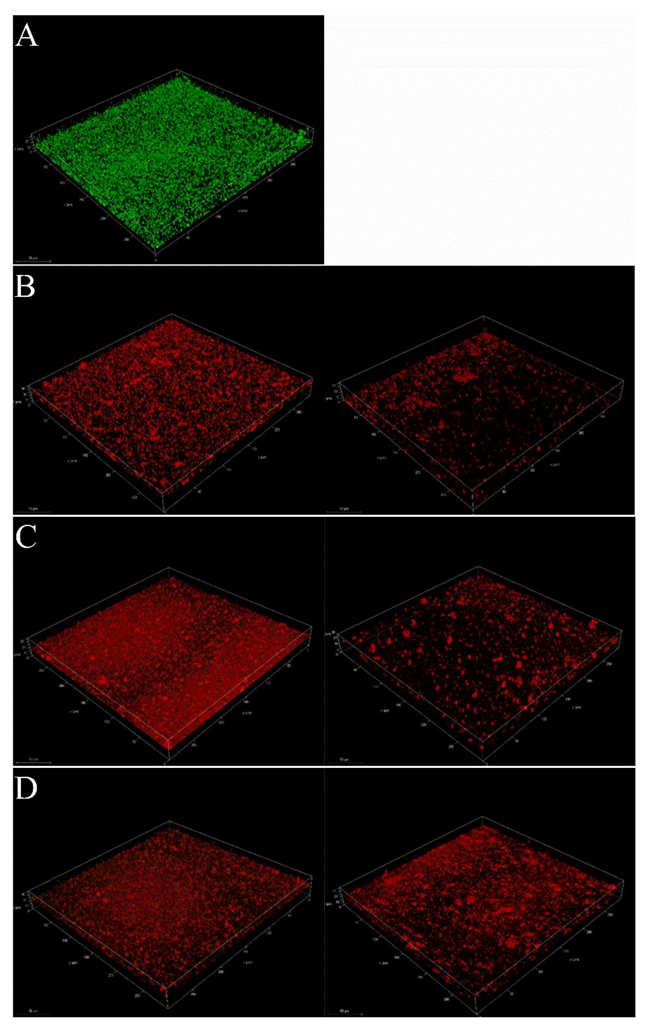 Antibiotics 11 01655 g006