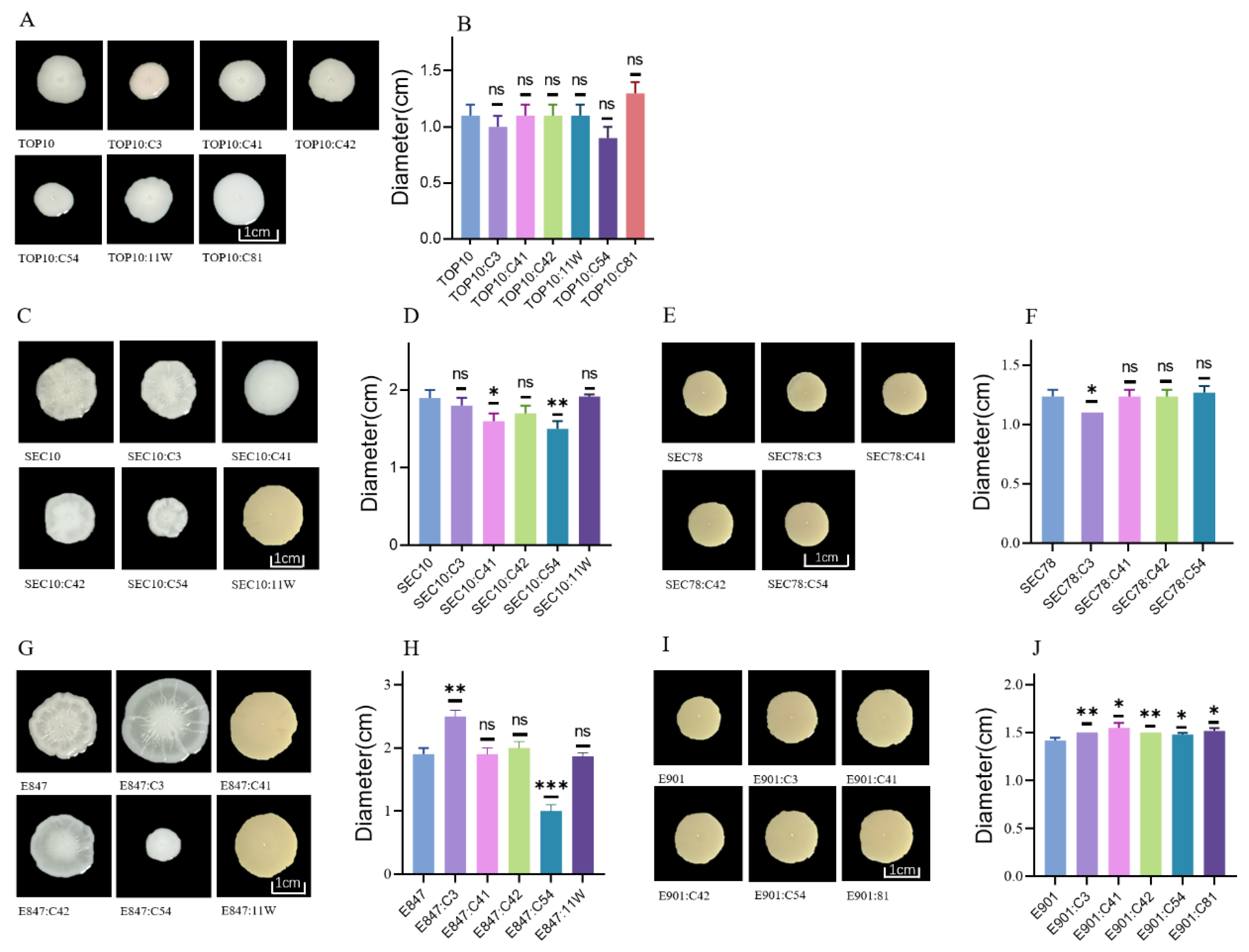 Antibiotics 11 01657 g003
