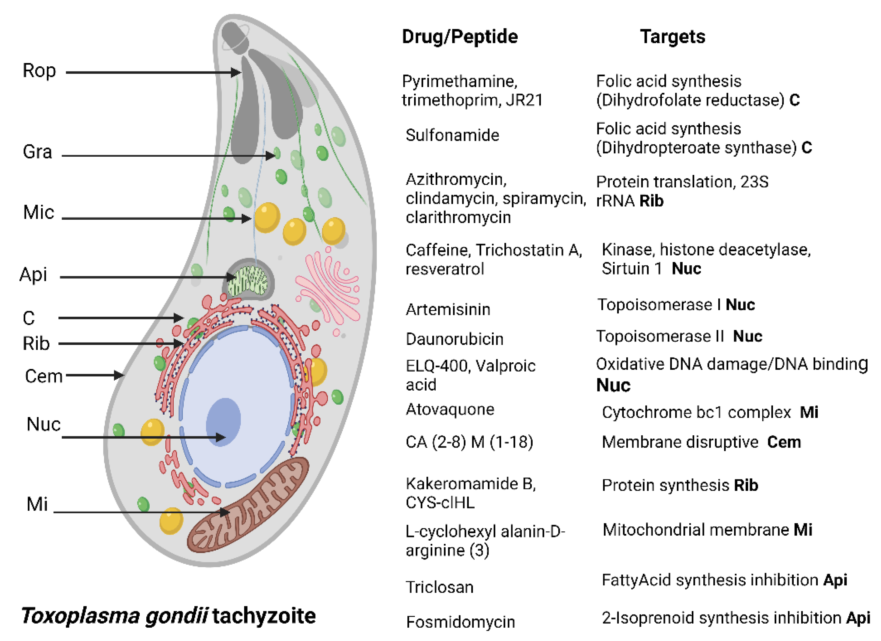 Antibiotics 11 01658 g002 Antibiotics 11 01658 g002
