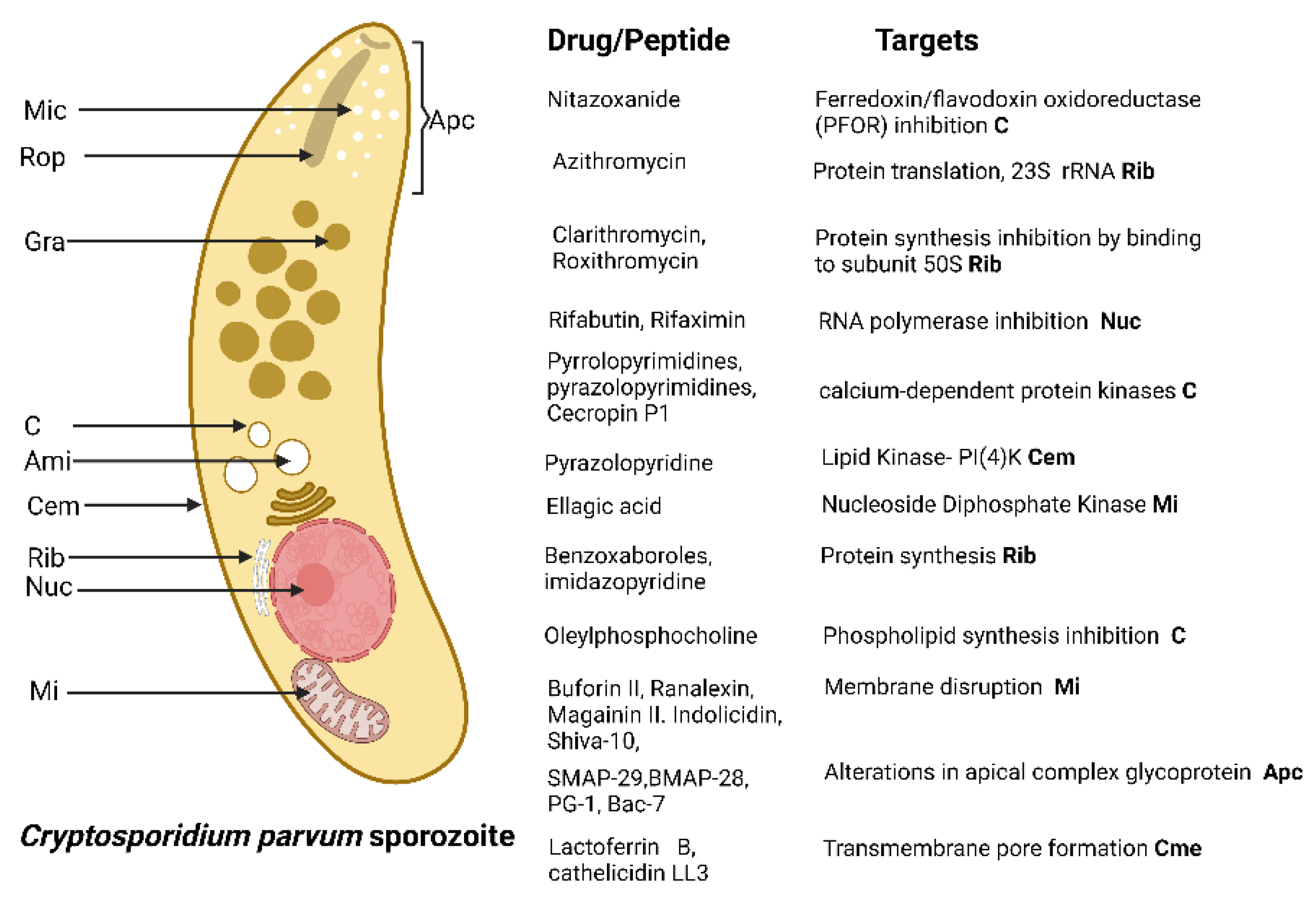 Antibiotics 11 01658 g004 Antibiotics 11 01658 g004
