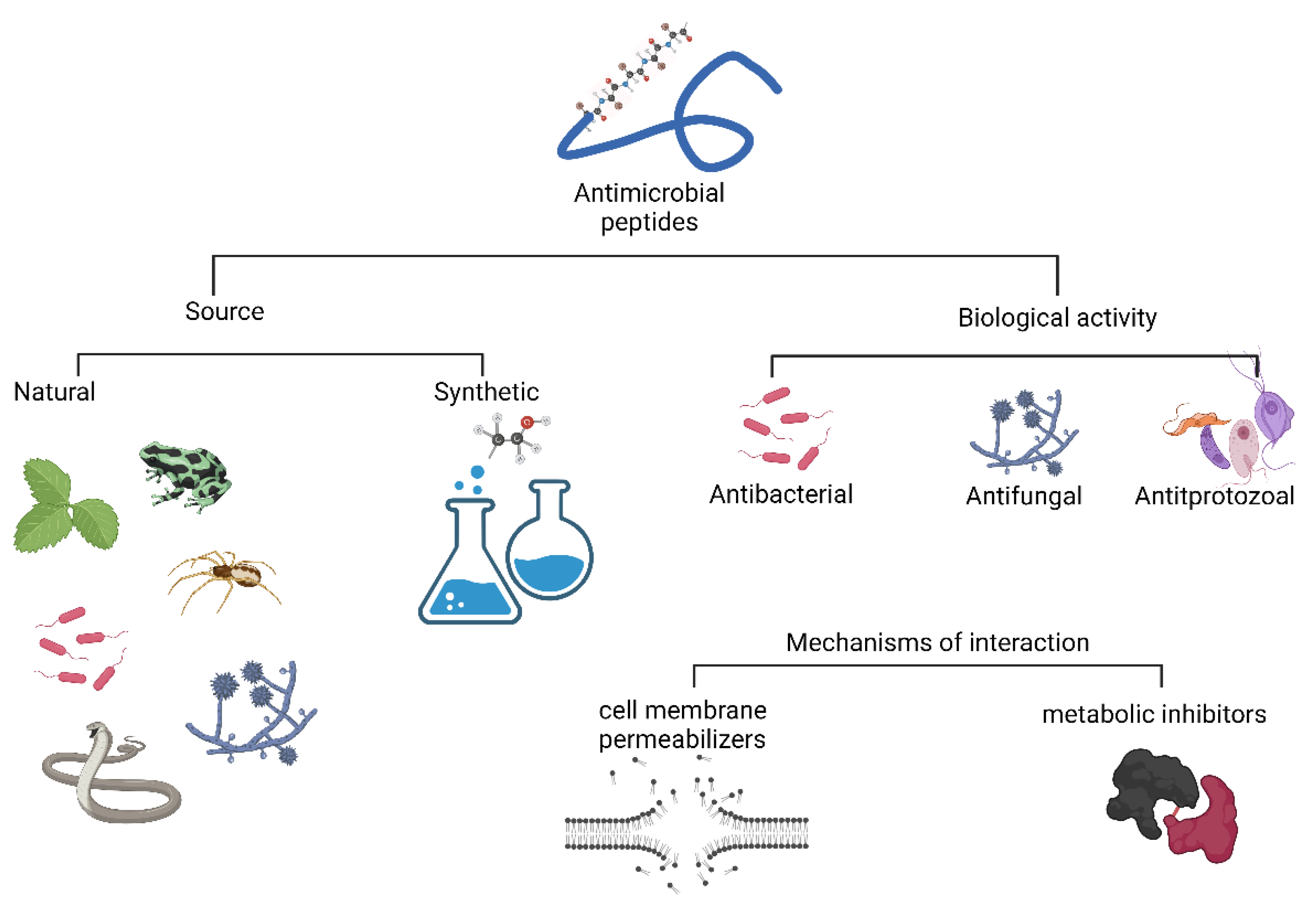 Antibiotics 11 01658 g007 Antibiotics 11 01658 g007