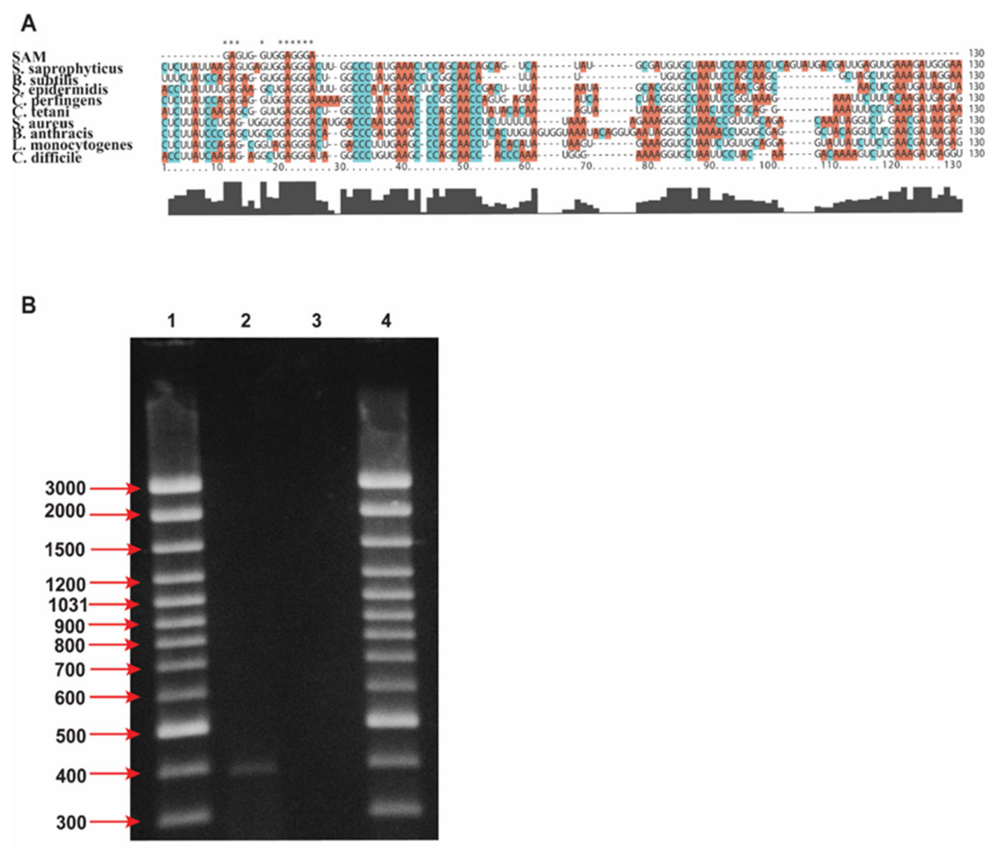 Antibiotics 11 01662 g002