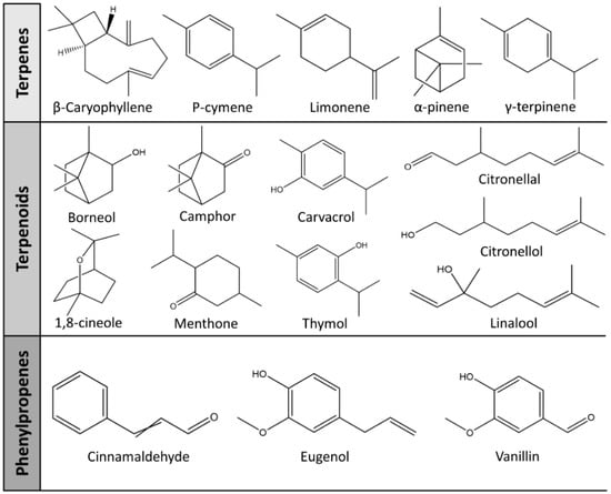 Antibiotics | Free Full-Text | Potential of Aromatic Plant-Derived