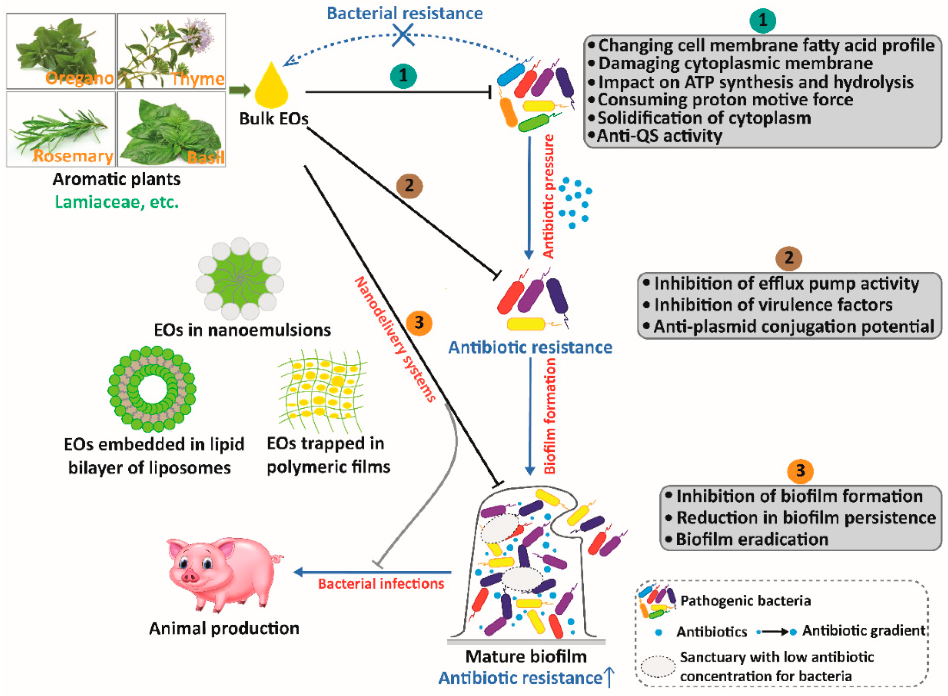 Antibiotics 11 01673 g003