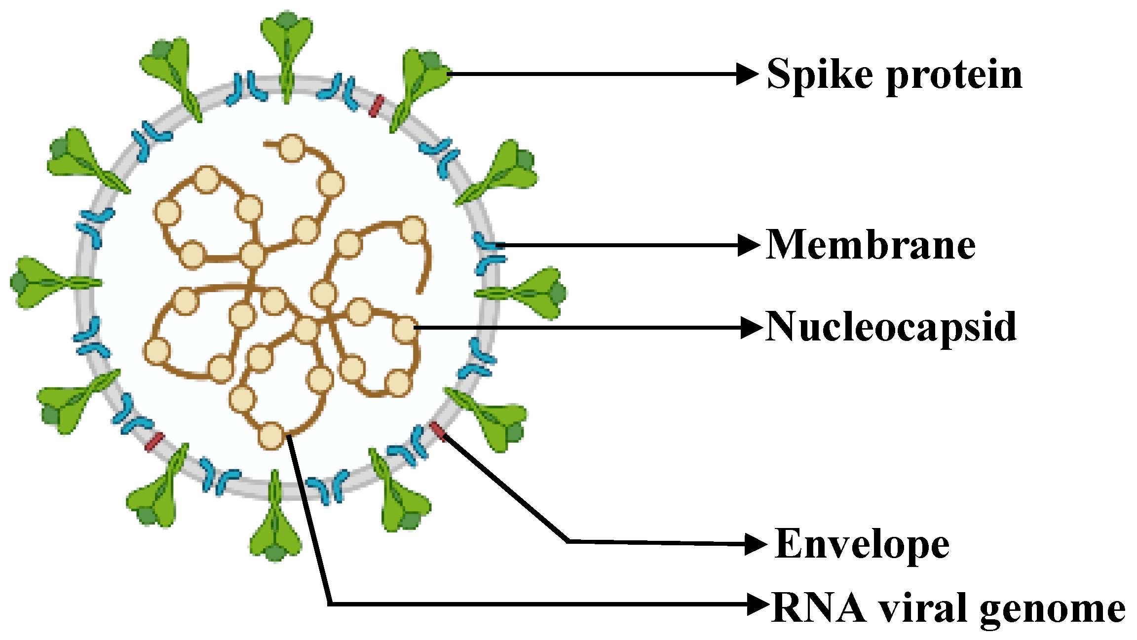 Antibiotics 11 01678 g001 Antibiotics 11 01678 g001