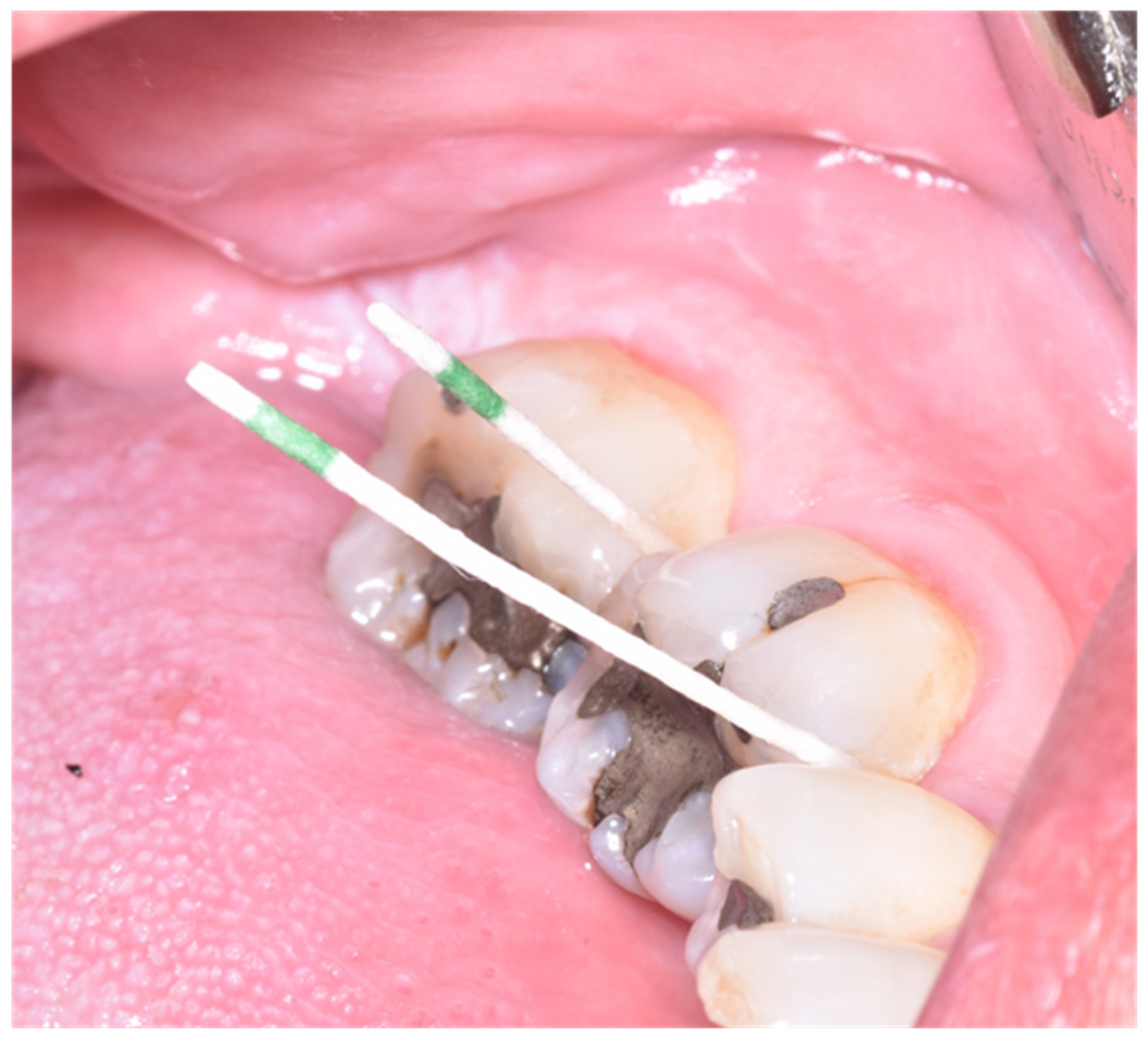 Antibiotics 11 01689 g001 Antibiotics 11 01689 g001
