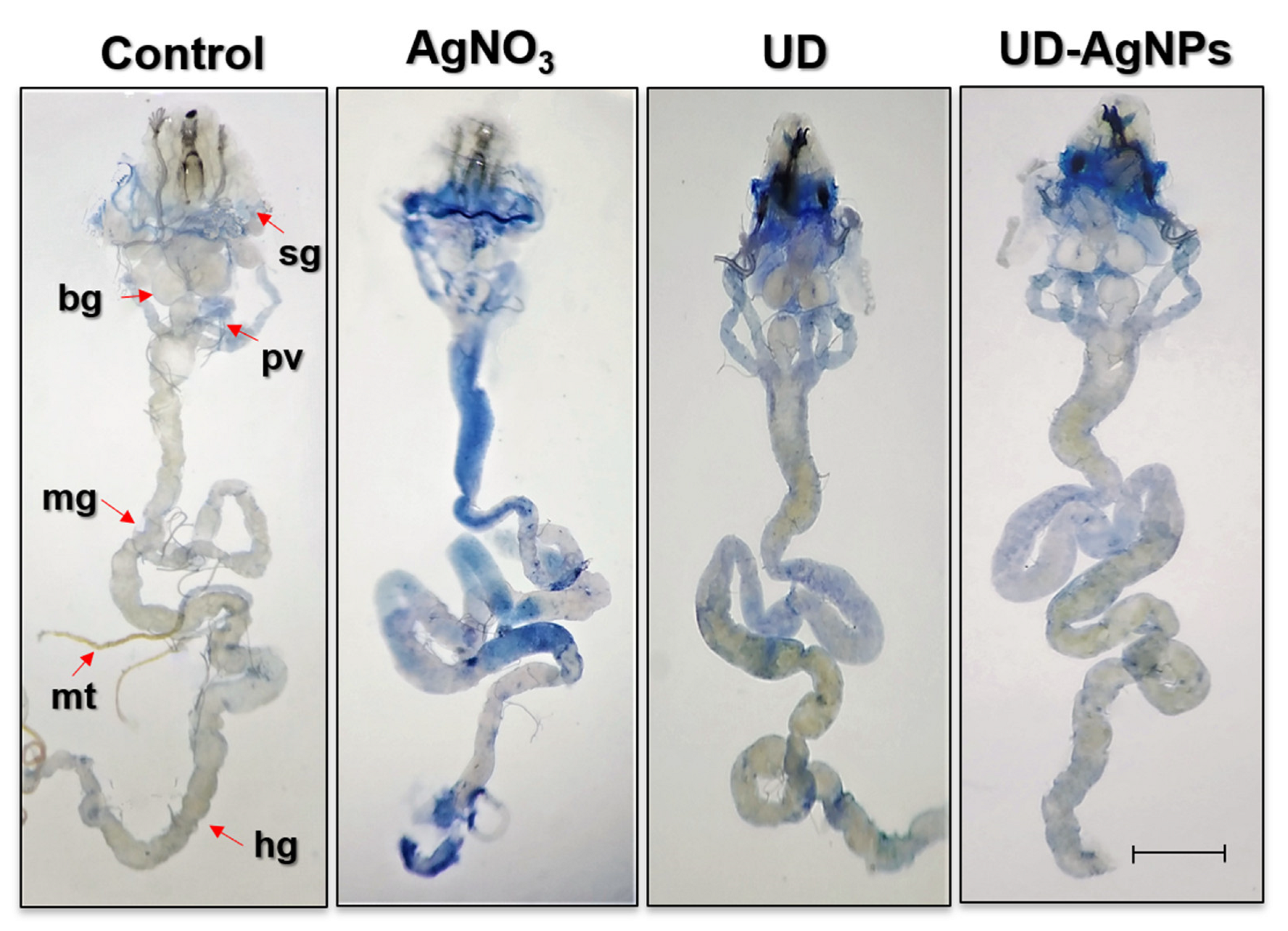 Antibiotics 11 01690 g007 Antibiotics 11 01690 g007