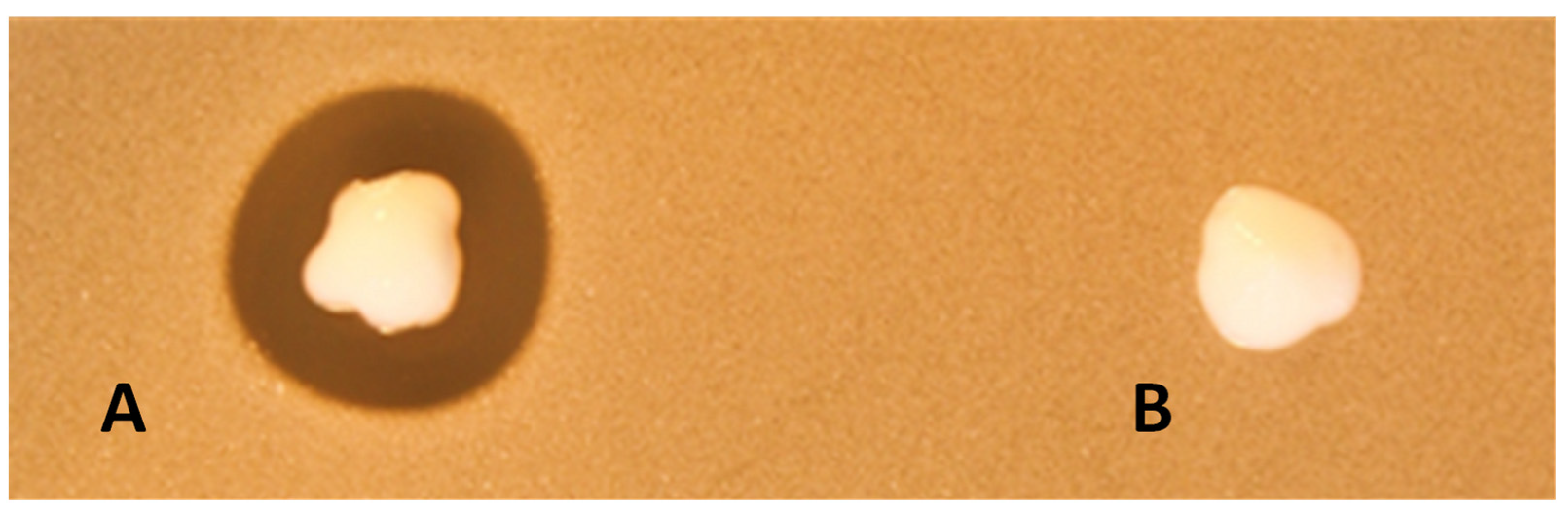 Antibiotics 11 01691 g002 Antibiotics 11 01691 g002