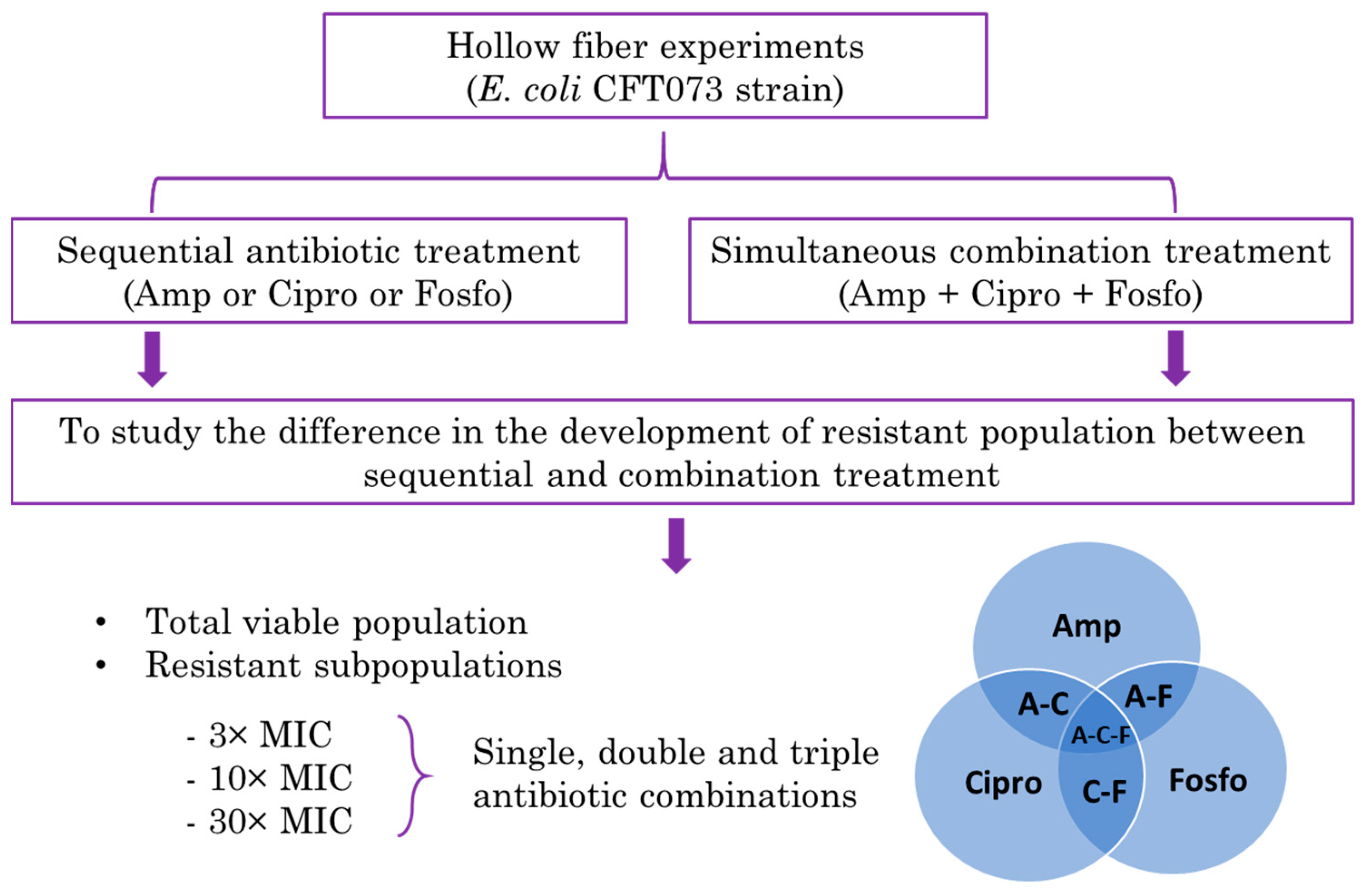 Antibiotics Free FullText Evaluation of a Sequential Antibiotic
