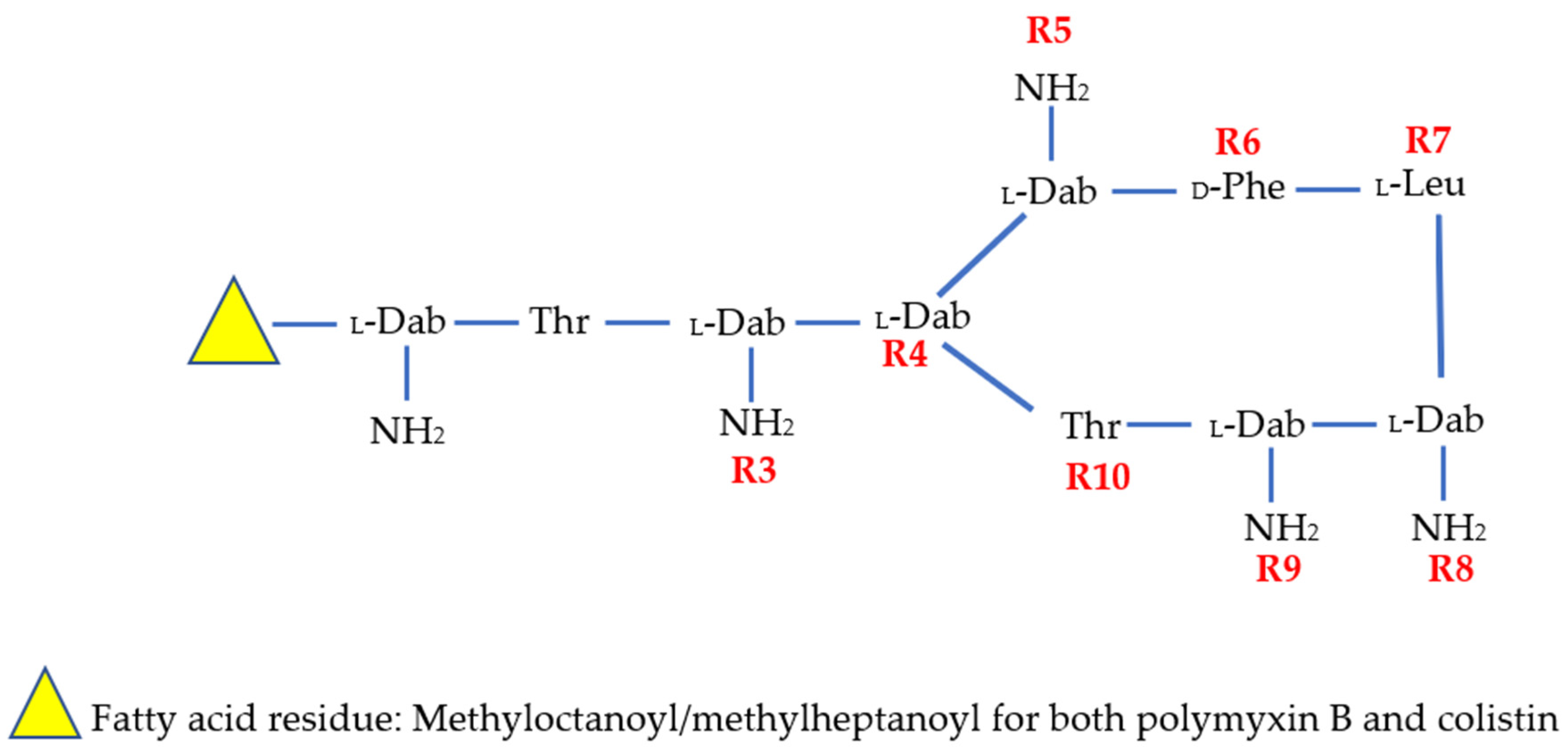 Antibiotics 11 01711 g001