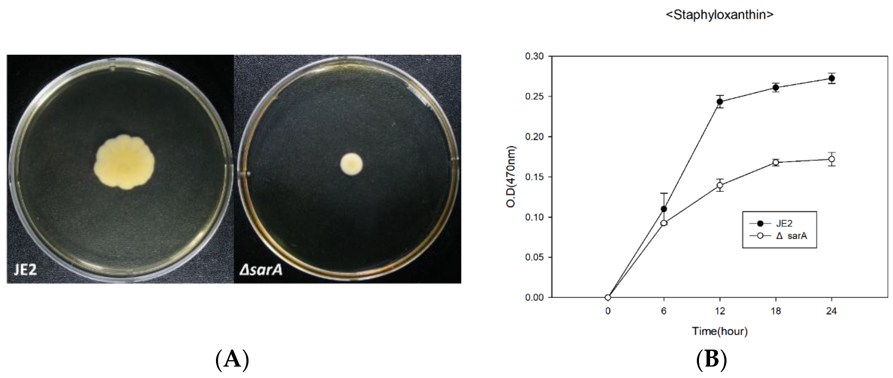 Antibiotics 11 01714 g003