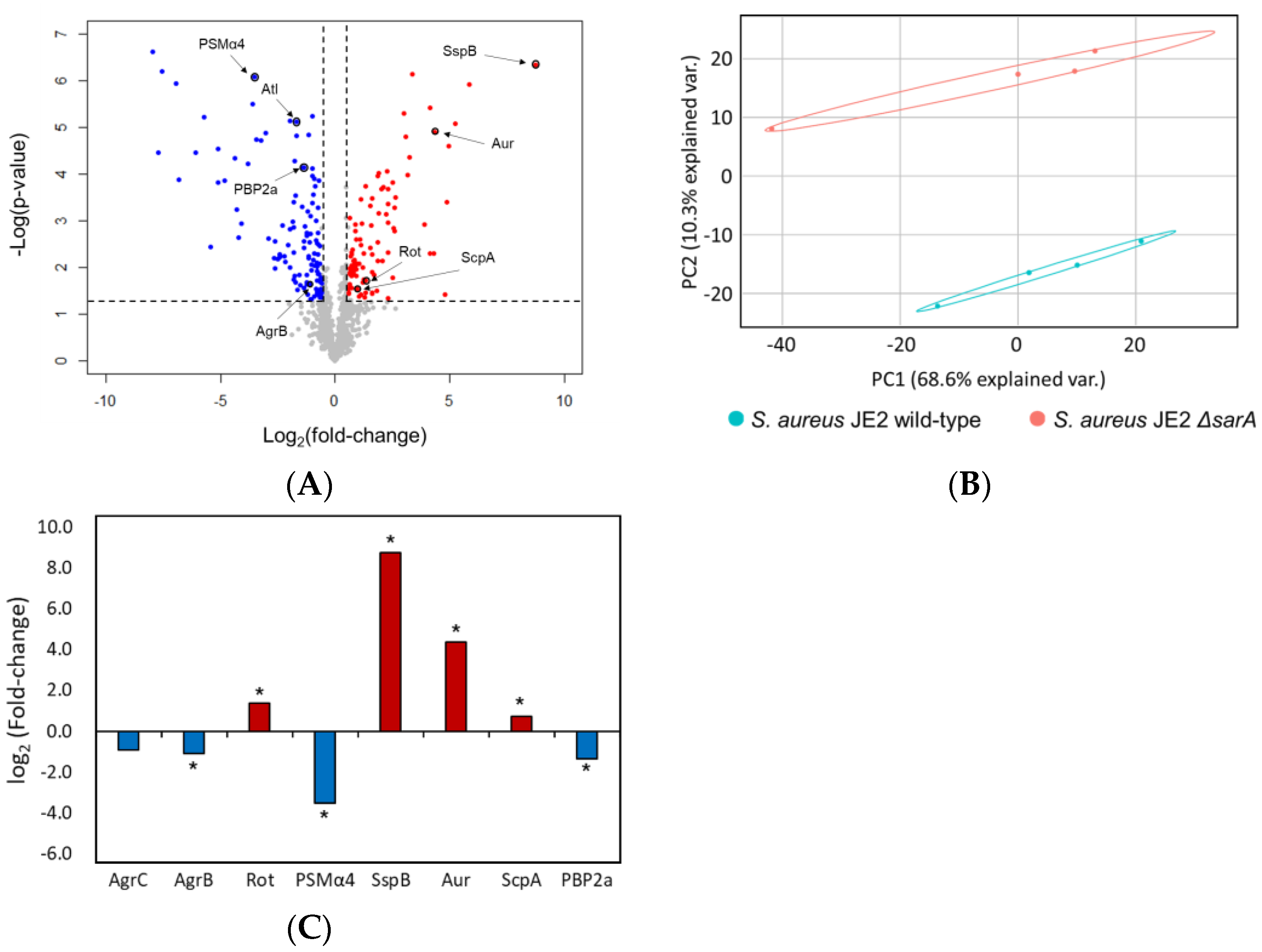 Antibiotics 11 01714 g004