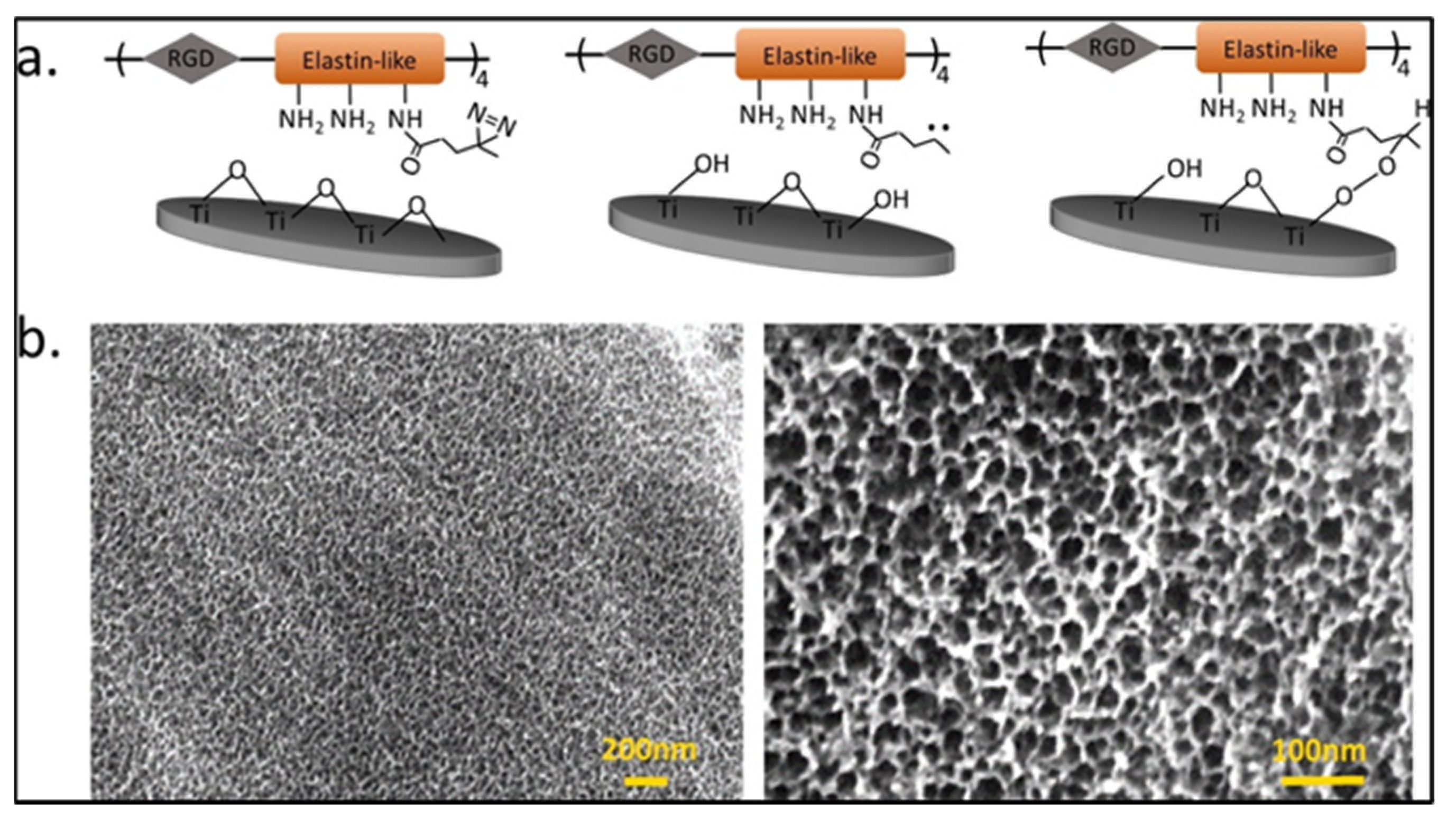 Antibiotics 11 01719 g004 Antibiotics 11 01719 g004