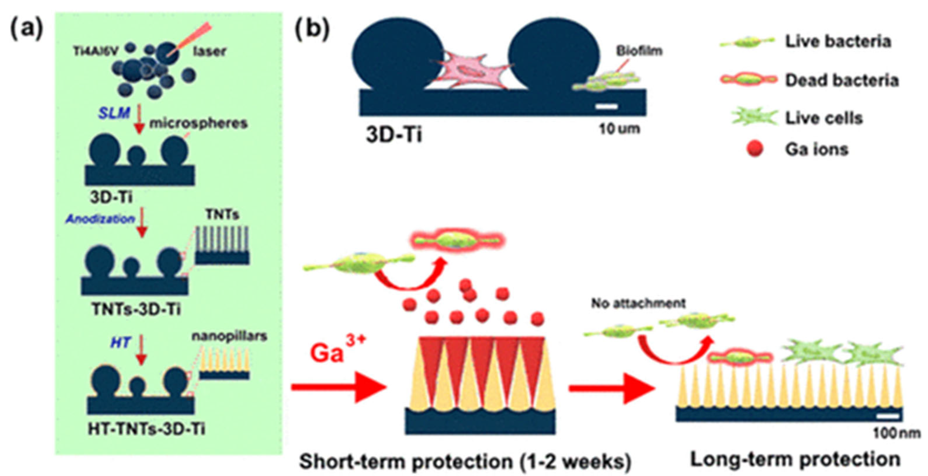 Antibiotics 11 01719 g005 Antibiotics 11 01719 g005