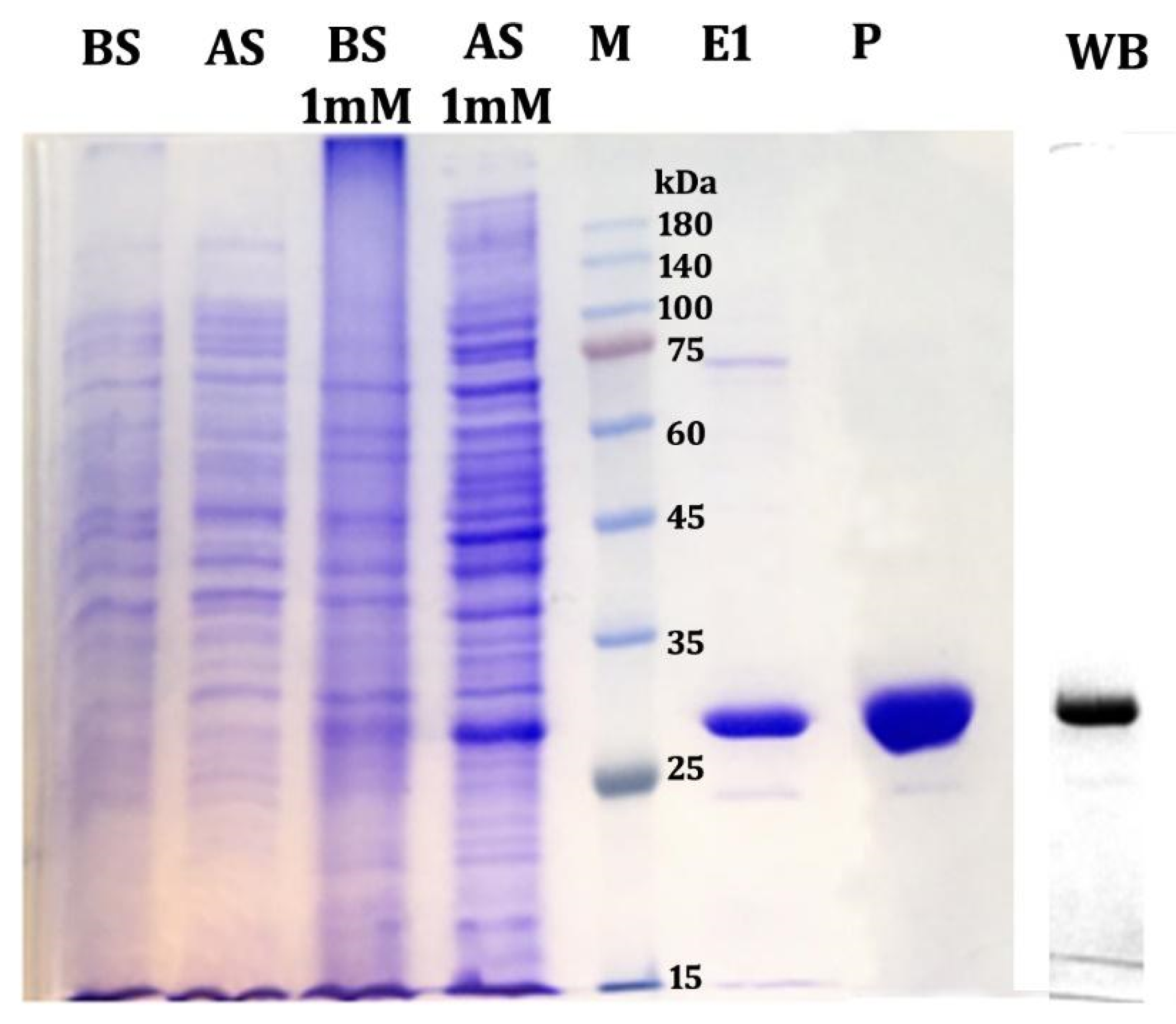Antibiotics 11 01722 g001 Antibiotics 11 01722 g001