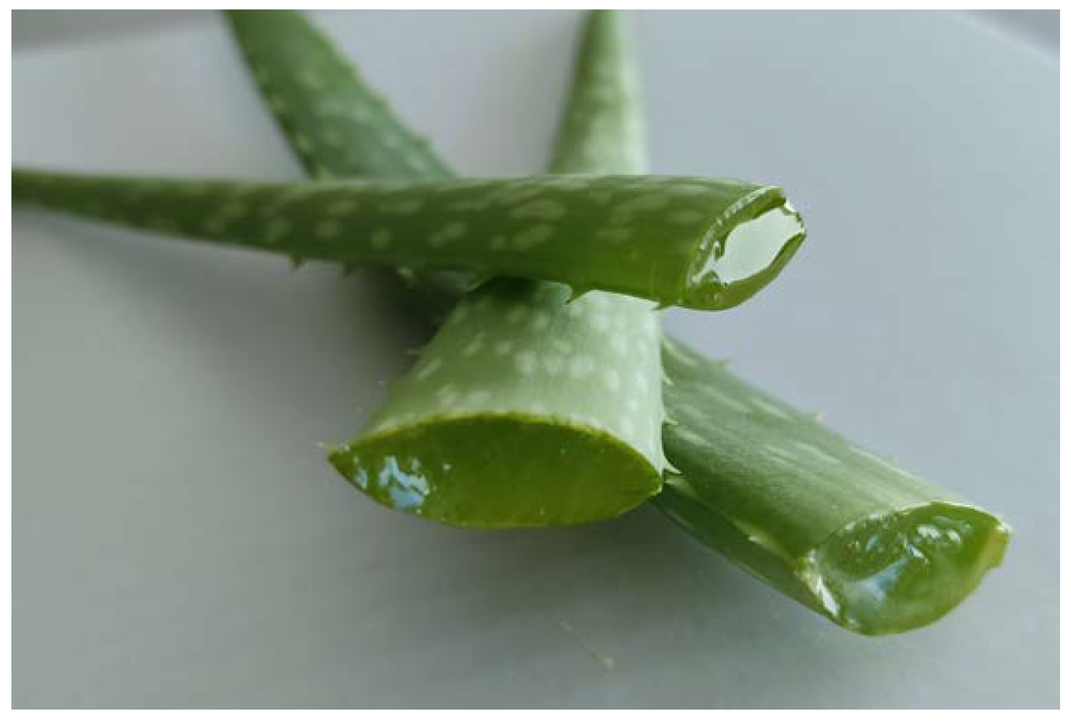 Antibiotics 11 01729 g003 Antibiotics 11 01729 g003