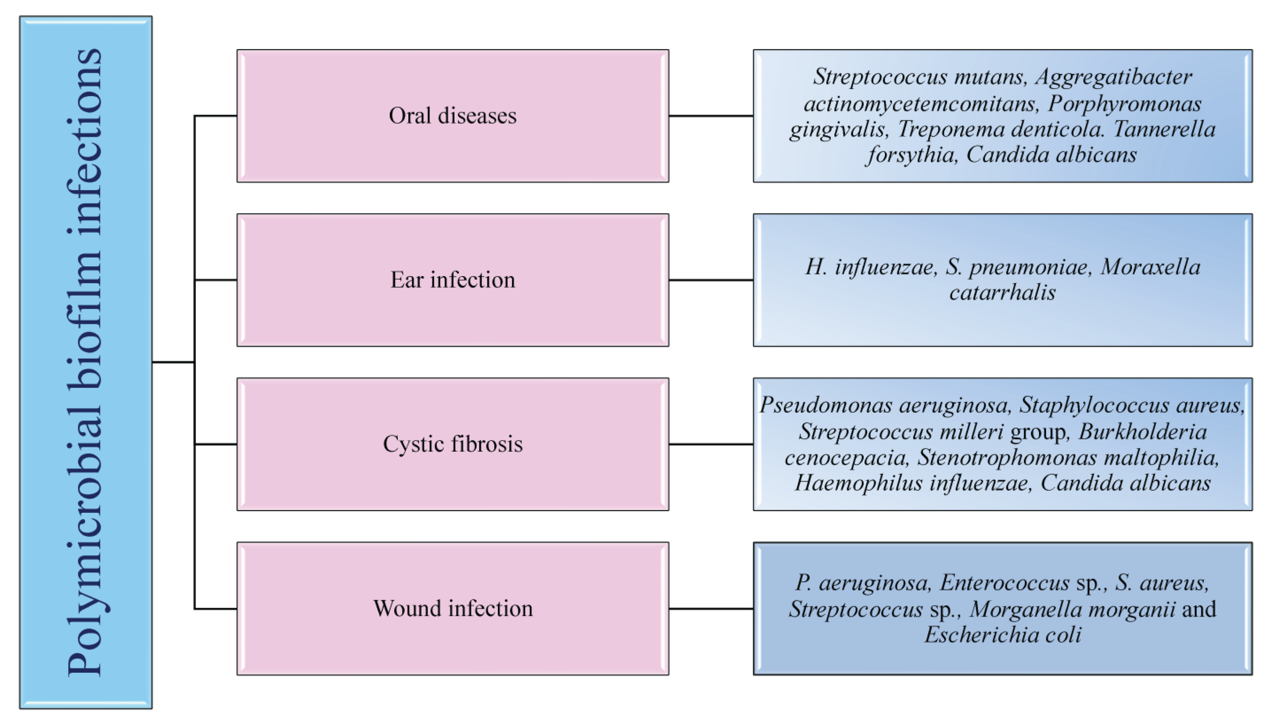 Staphylococcus aureus: symptoms, transferability, treatment