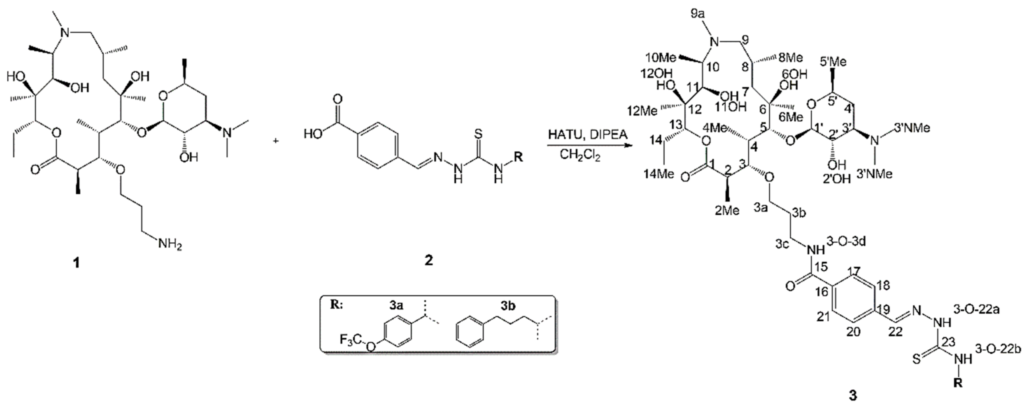 Antibiotics 11 01738 g001