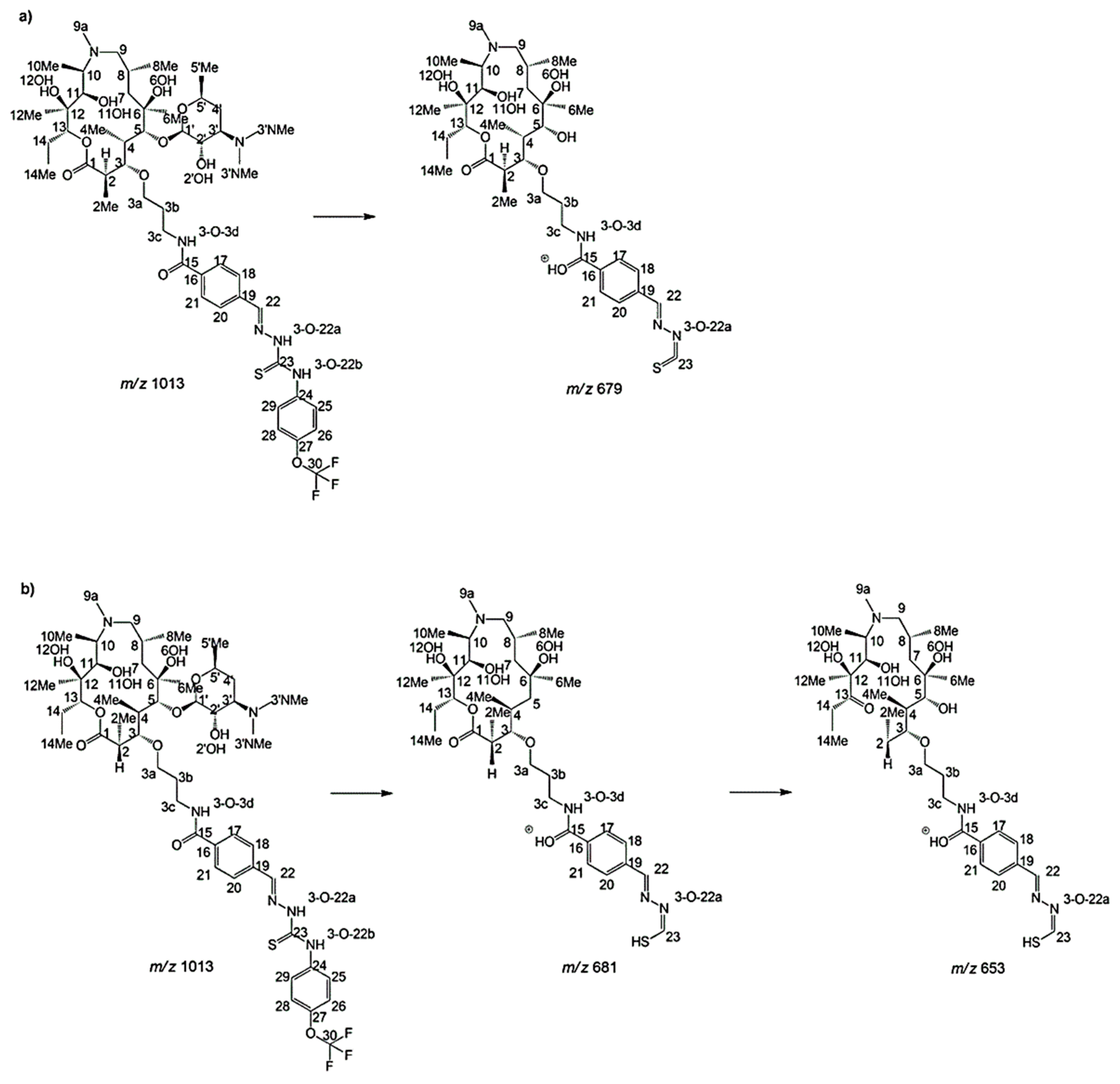 Antibiotics 11 01738 g004