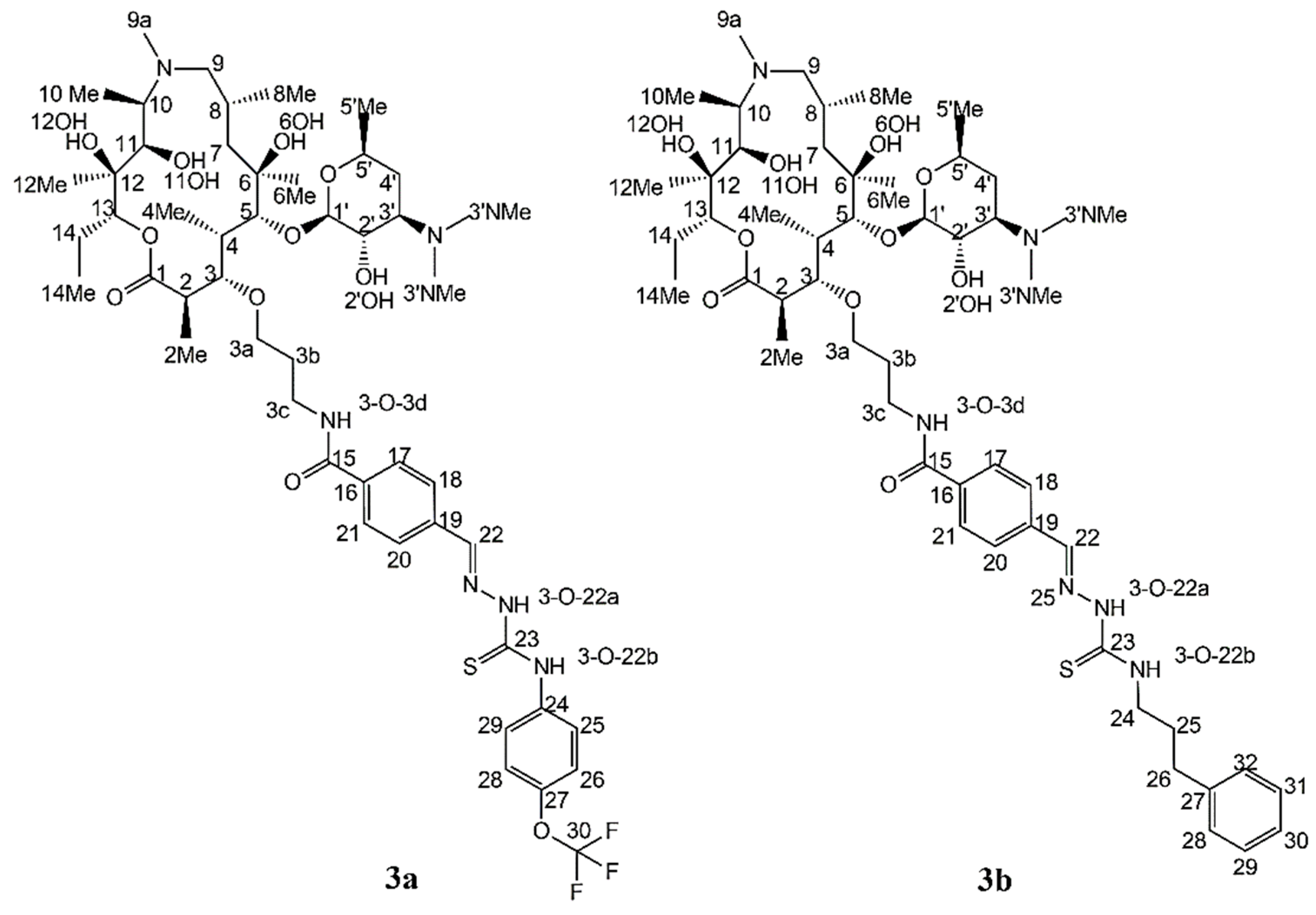 Antibiotics 11 01738 sch001