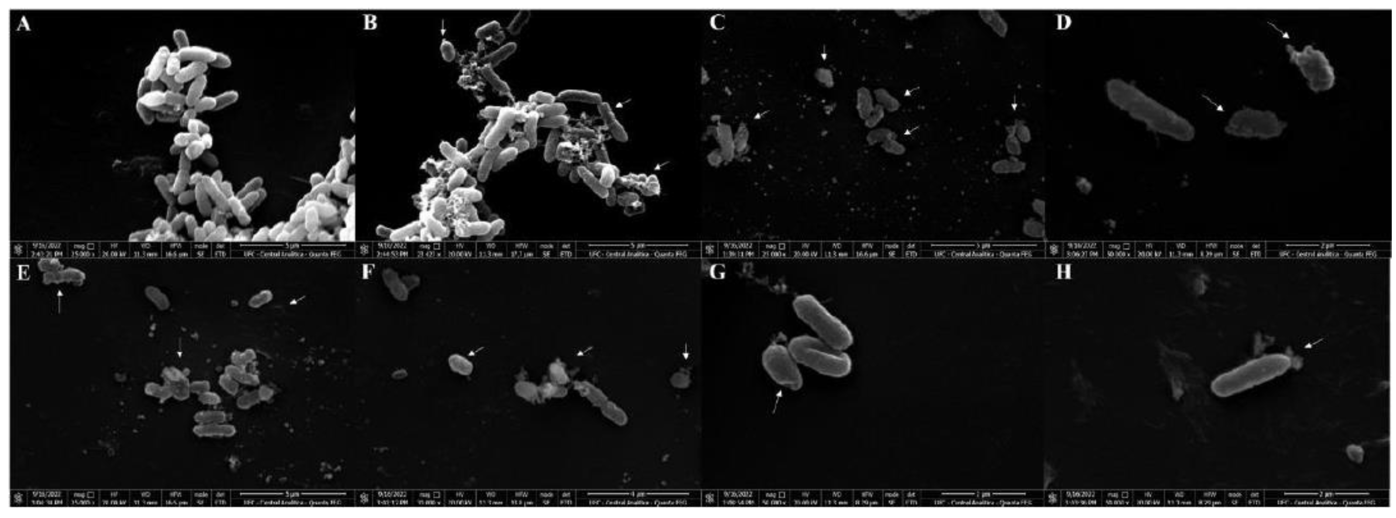 Antibiotics 11 01753 g004 Antibiotics 11 01753 g004