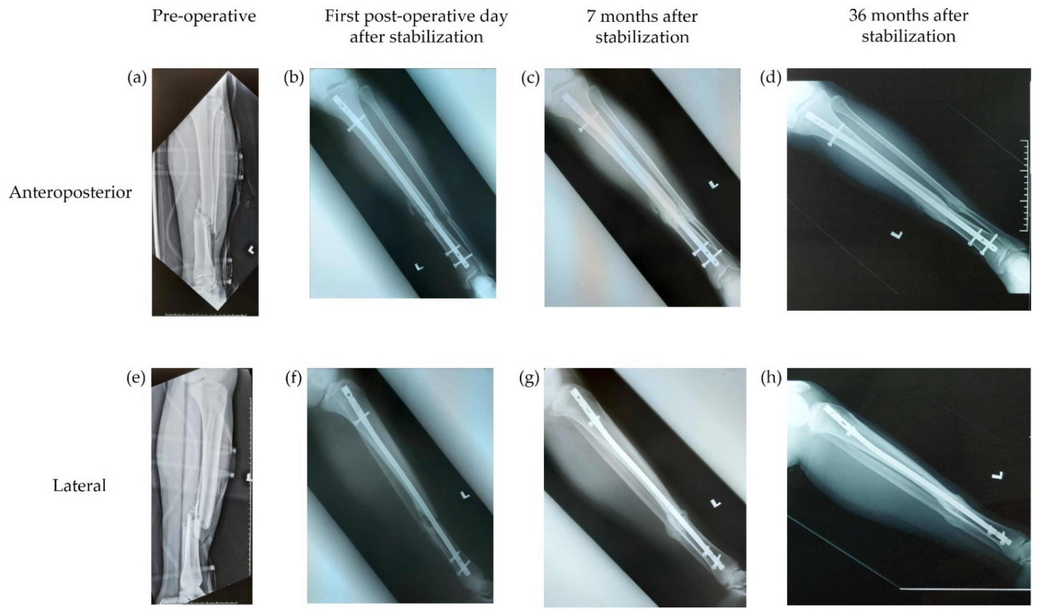 Antibiotics 11 01763 g001 Antibiotics 11 01763 g001