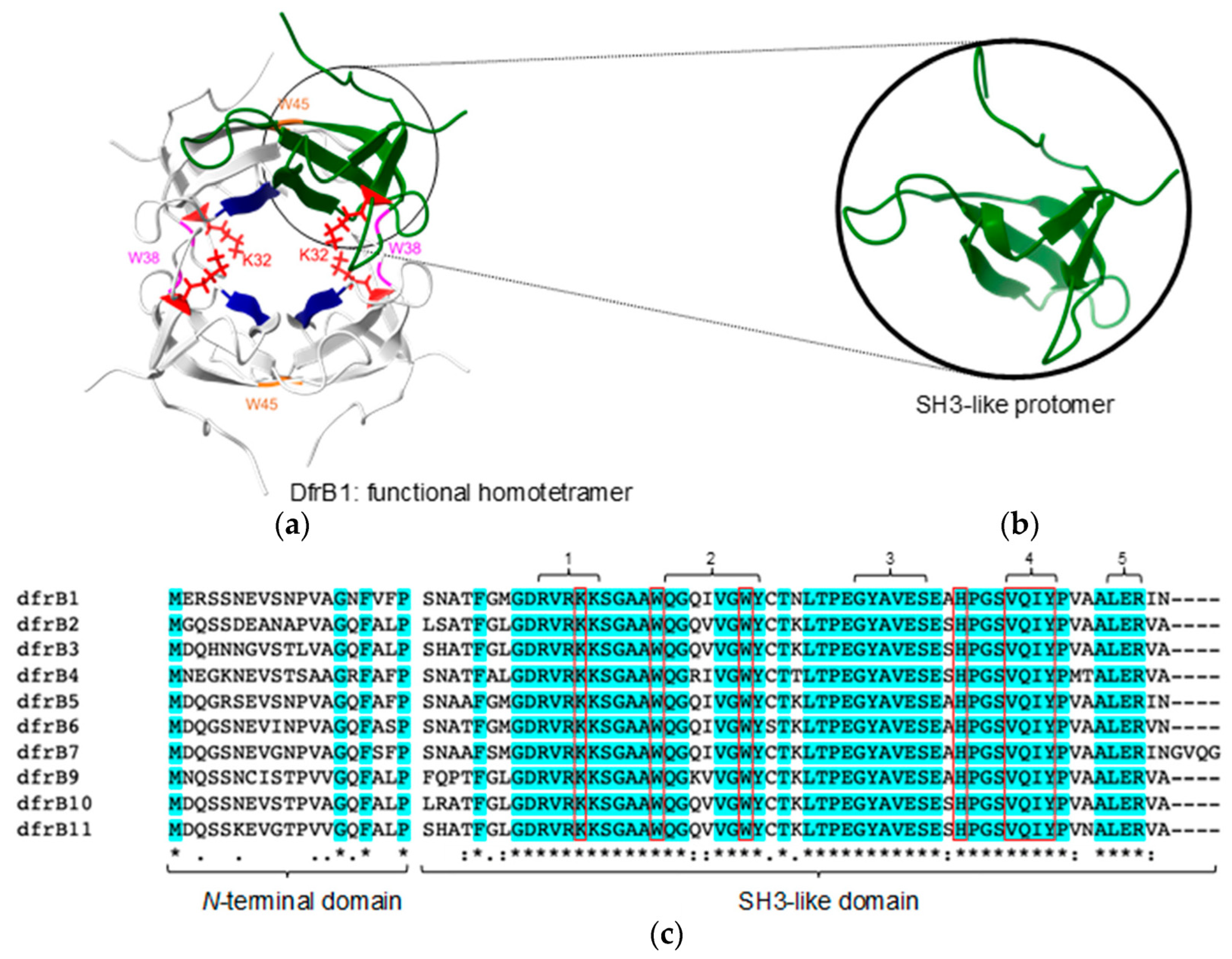 Antibiotics 11 01768 g001 Antibiotics 11 01768 g001