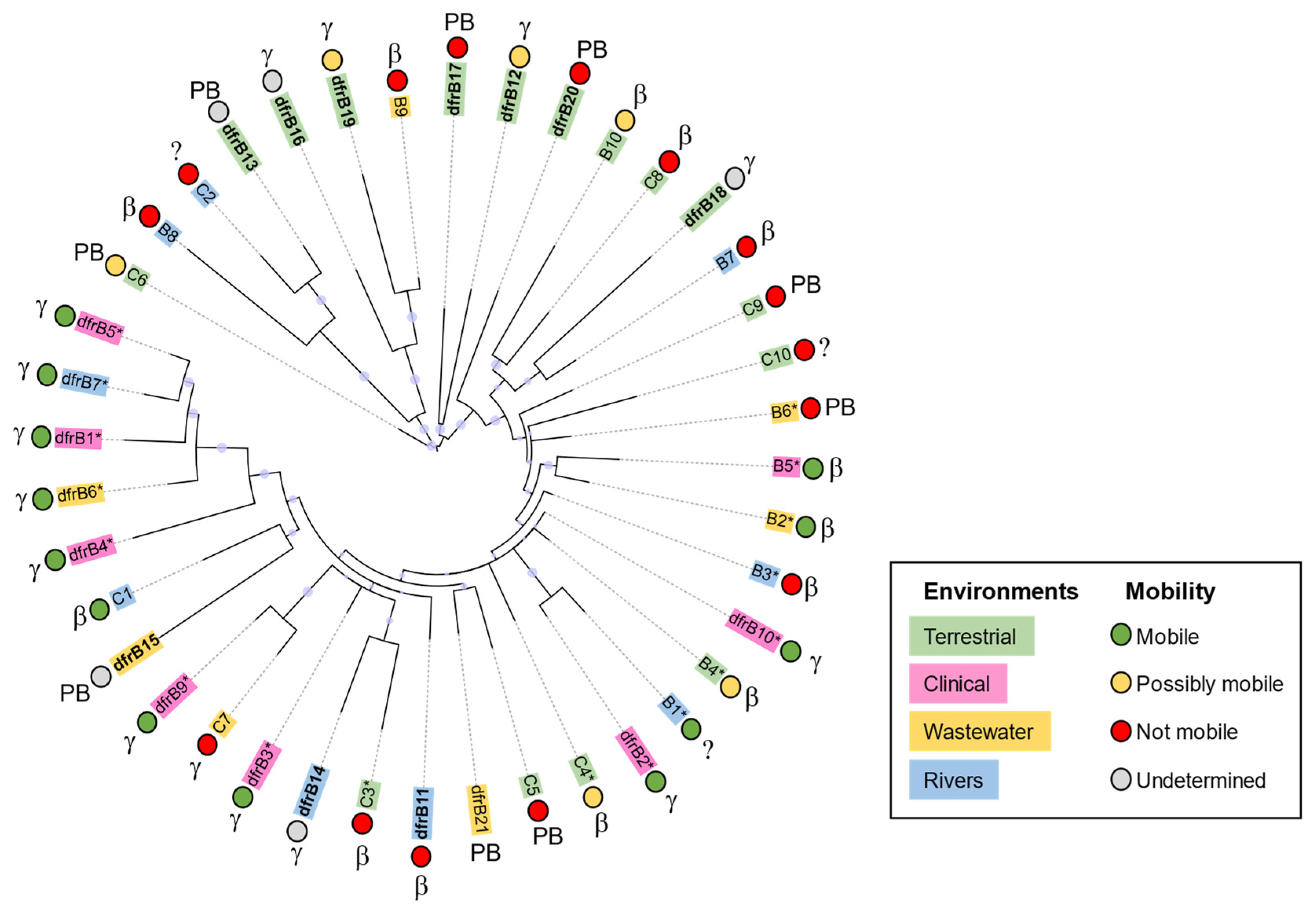 Antibiotics 11 01768 g003 Antibiotics 11 01768 g003