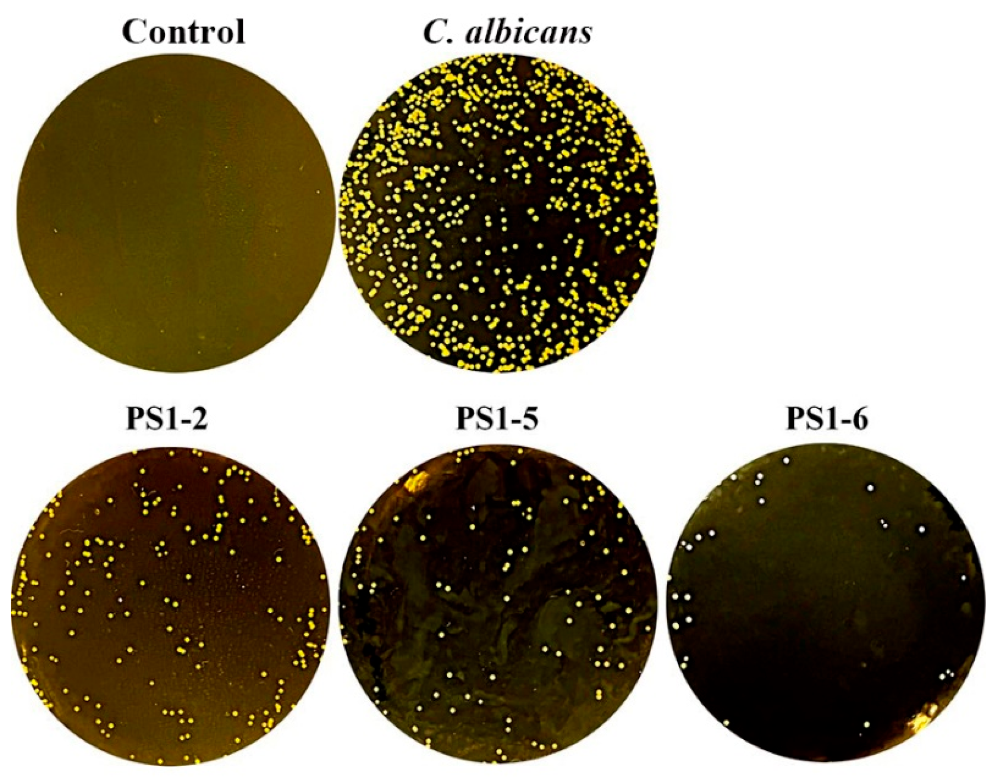 Antibiotics 11 01779 g004 Antibiotics 11 01779 g004