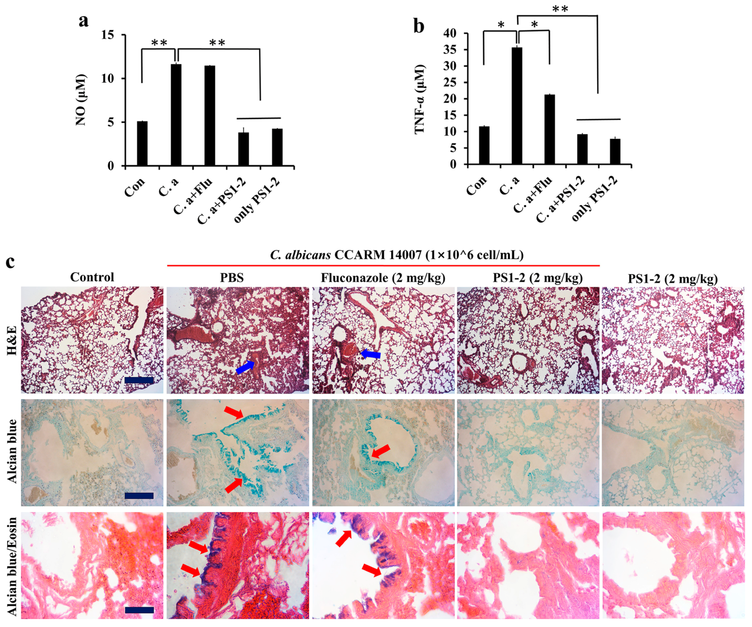 Antibiotics 11 01779 g006 Antibiotics 11 01779 g006