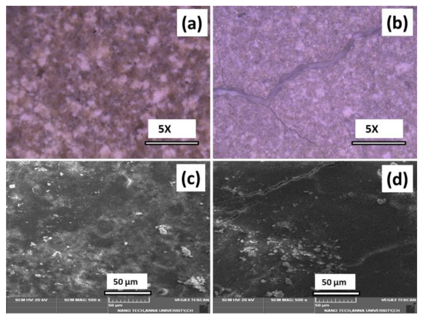 Antibiotics 11 01780 g010 Antibiotics 11 01780 g010