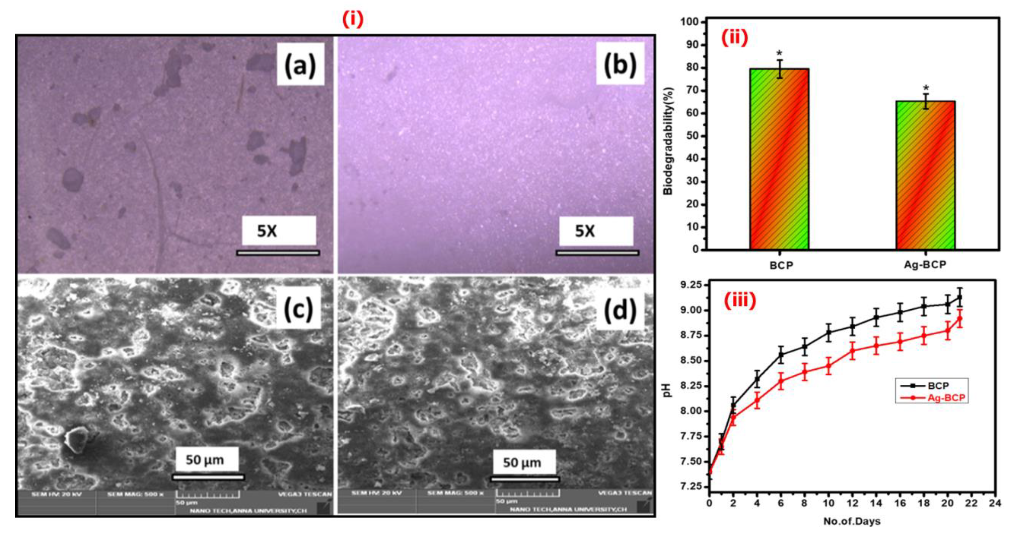 Antibiotics 11 01780 g011 Antibiotics 11 01780 g011