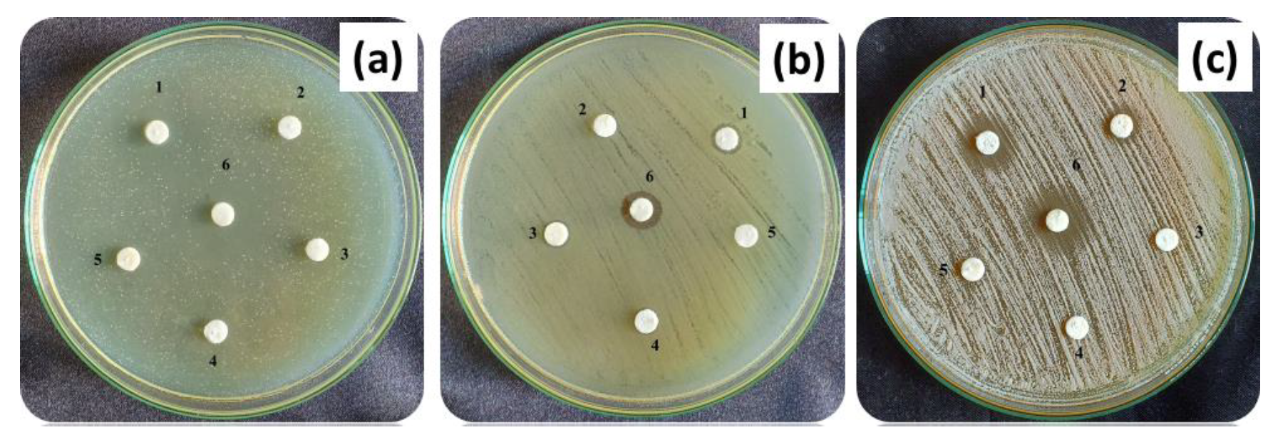 Antibiotics 11 01780 g013 Antibiotics 11 01780 g013