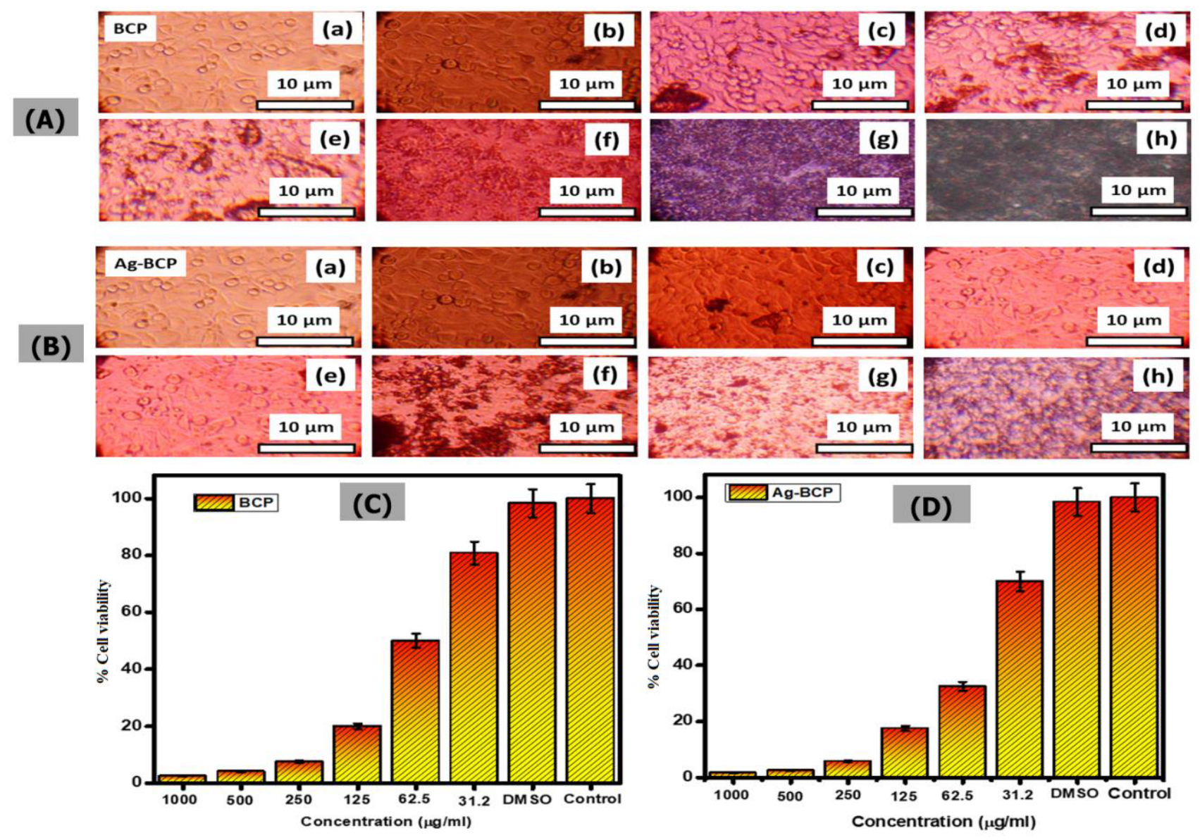 Antibiotics 11 01780 g014 Antibiotics 11 01780 g014