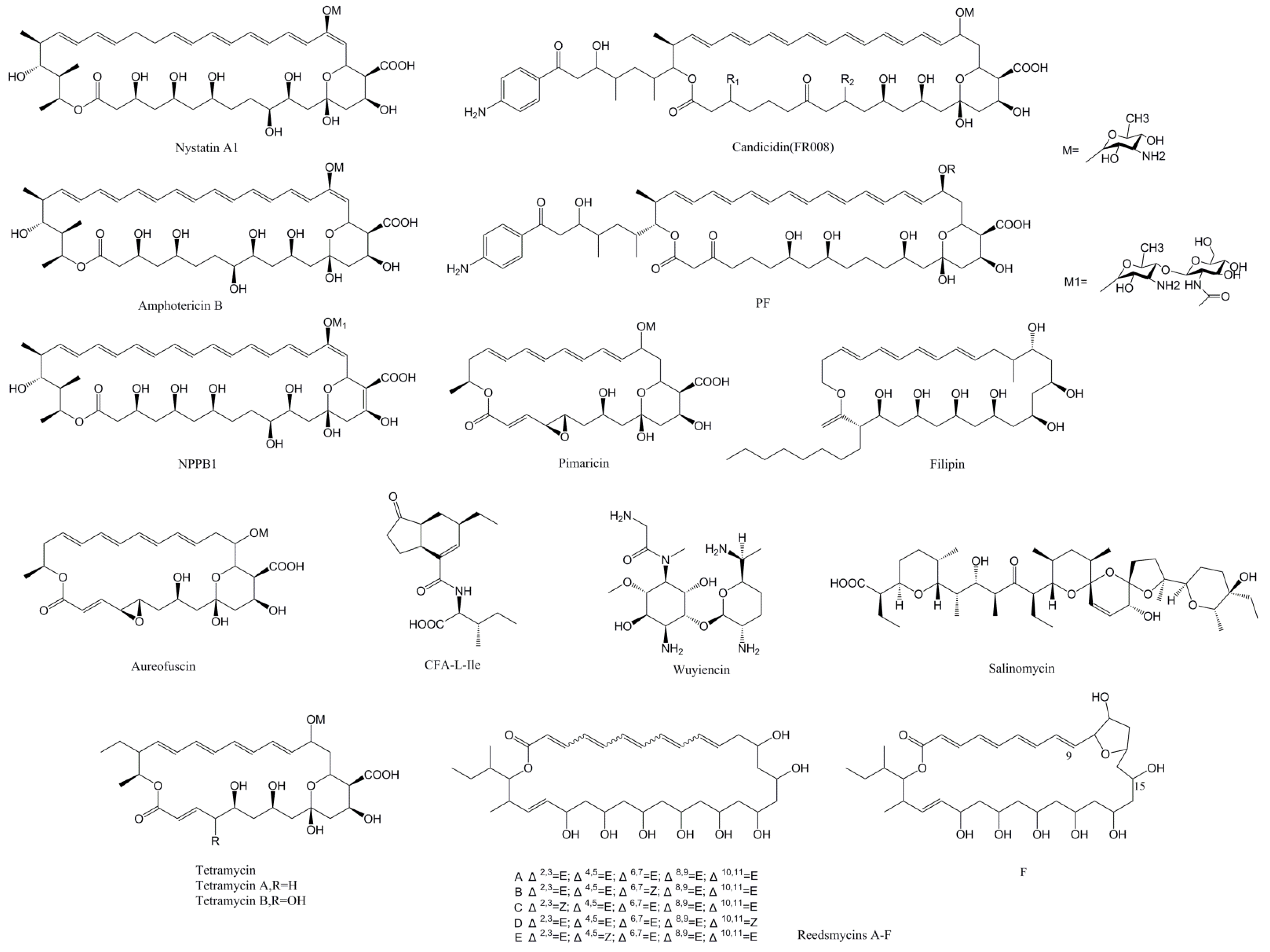 Antibiotics 11 01783 g001 Antibiotics 11 01783 g001