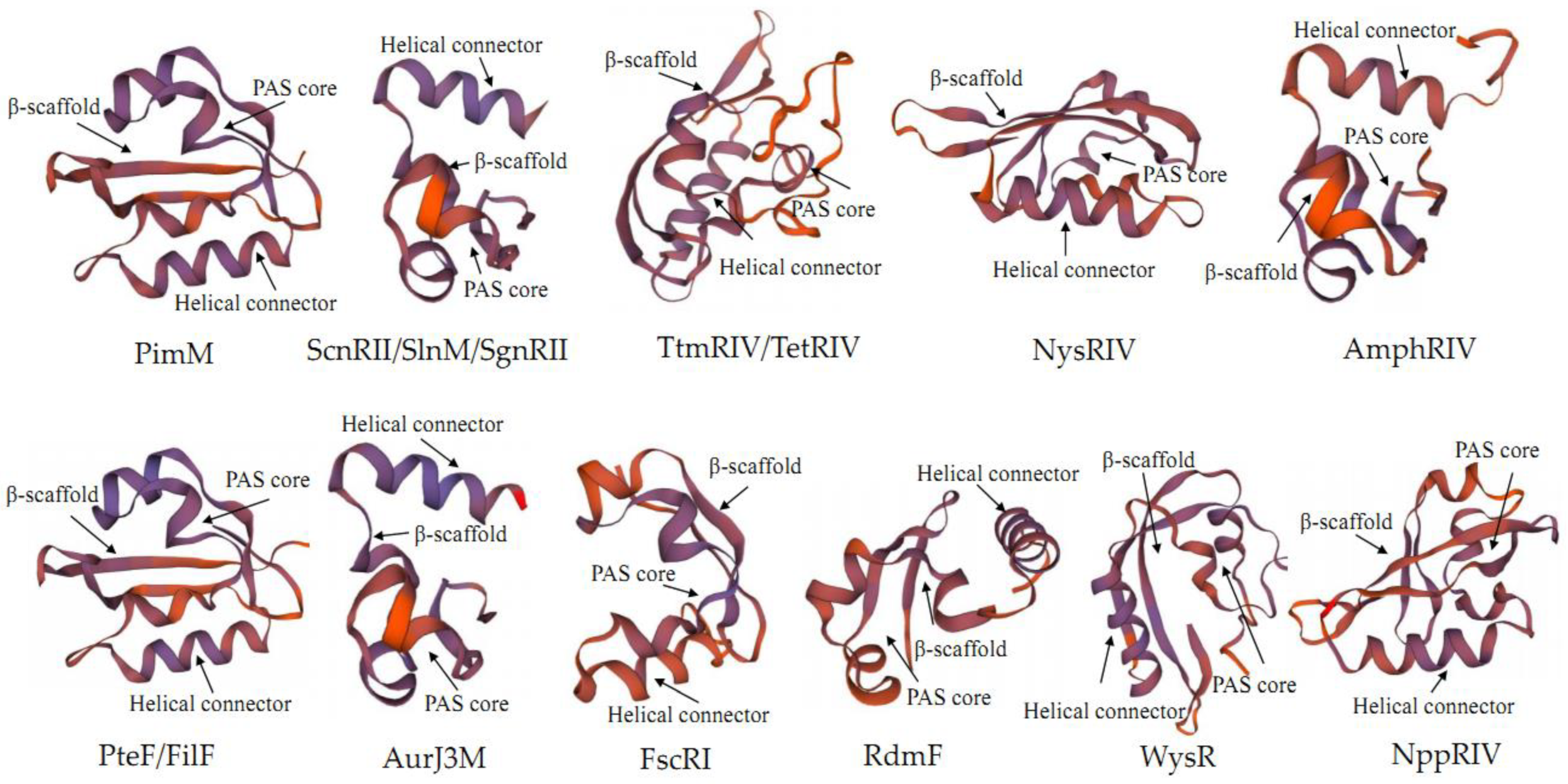 Antibiotics 11 01783 g004 Antibiotics 11 01783 g004