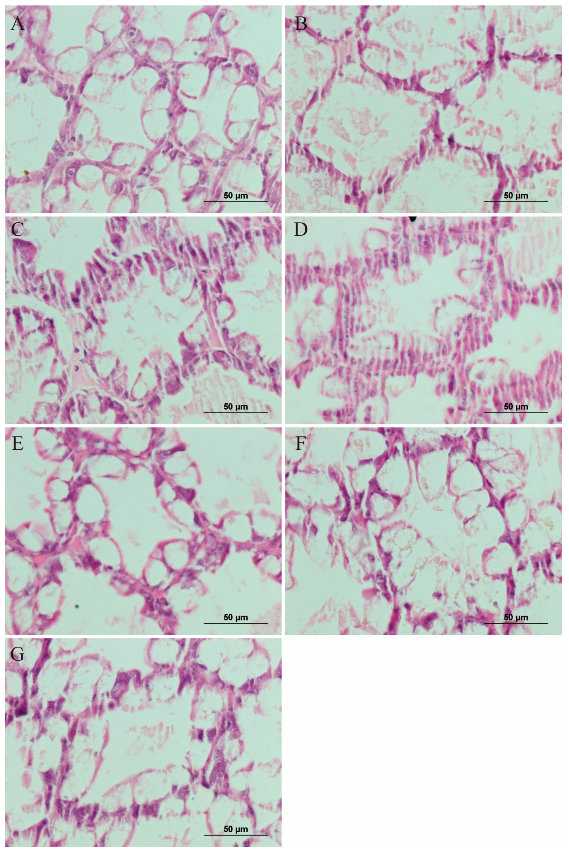 Antibiotics 11 01784 g006