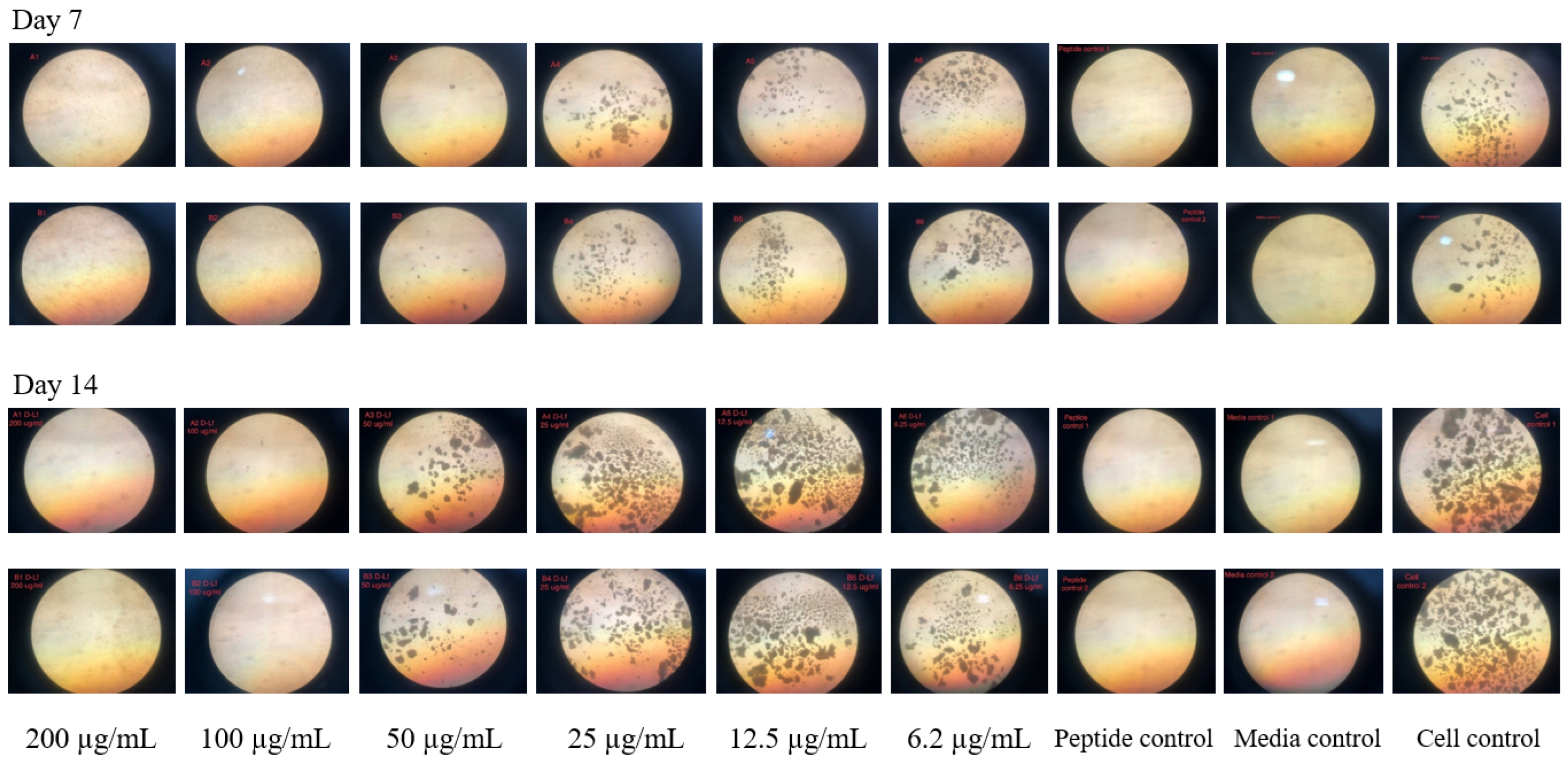Antibiotics 11 01785 g002 Antibiotics 11 01785 g002